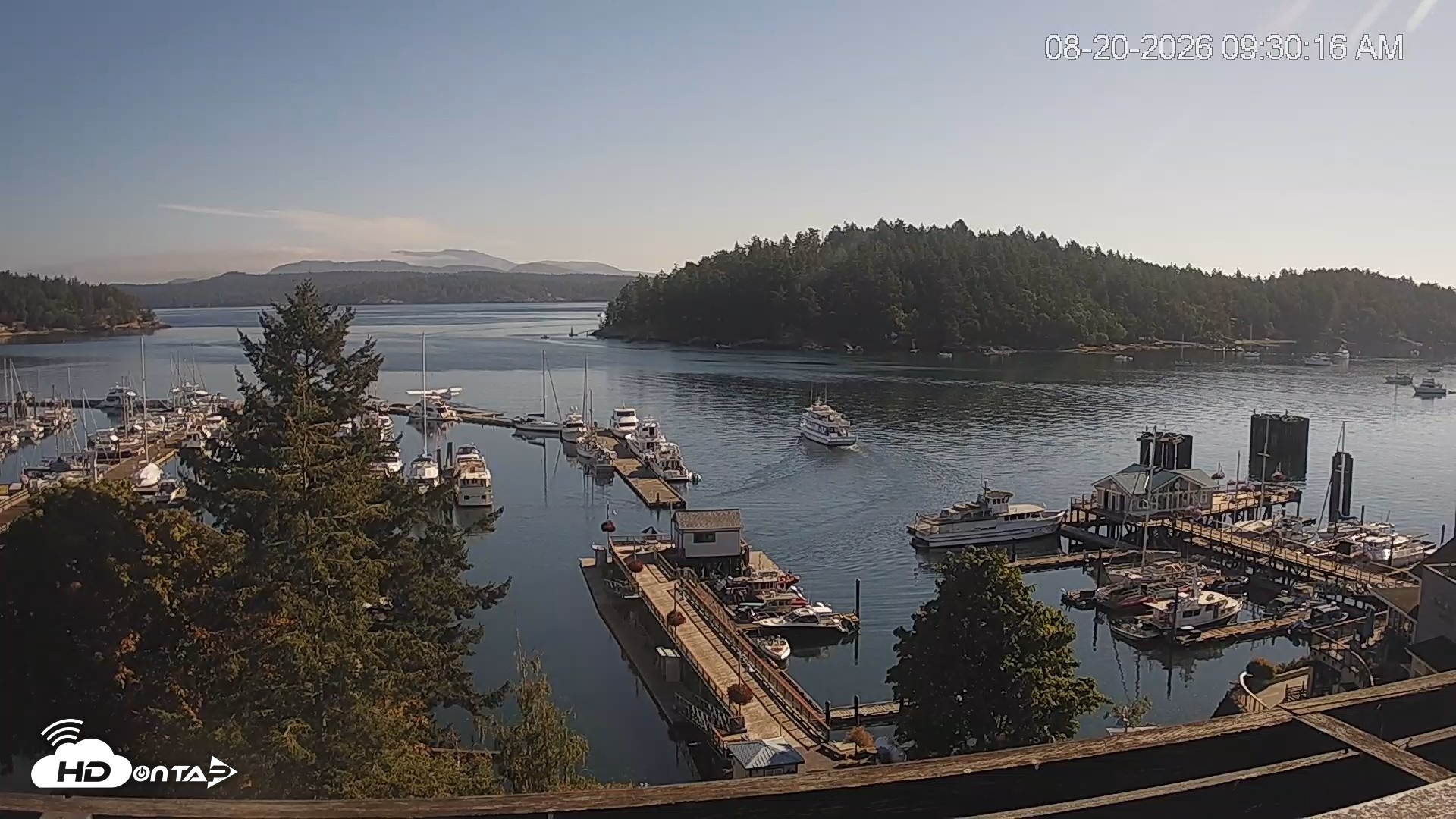 Snapshot of Friday Harbor - San Juan Island Live Webcam taken Aug 20, 2026, 9:31am PDT