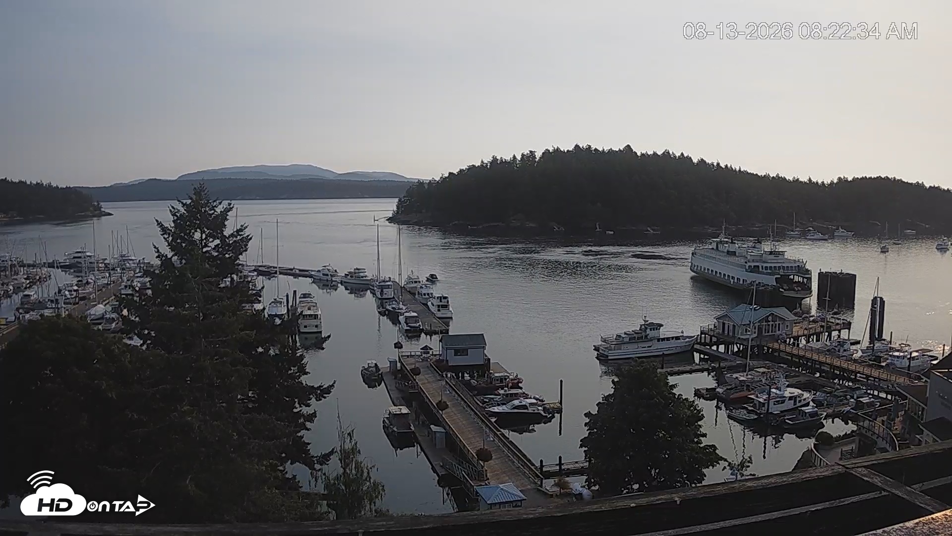 Snapshot of Friday Harbor - San Juan Island Live Webcam taken Aug 13, 2026, 8:23am PDT