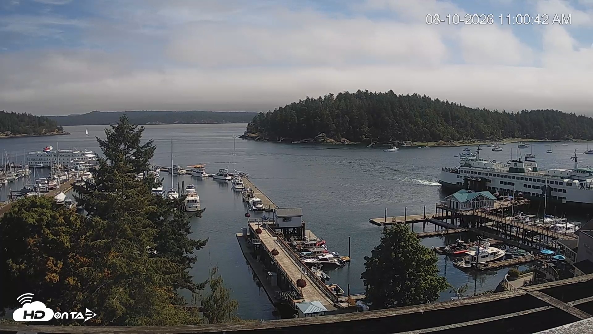 Snapshot of Friday Harbor - San Juan Island Live Webcam taken Aug 10, 2026, 11:01am PDT