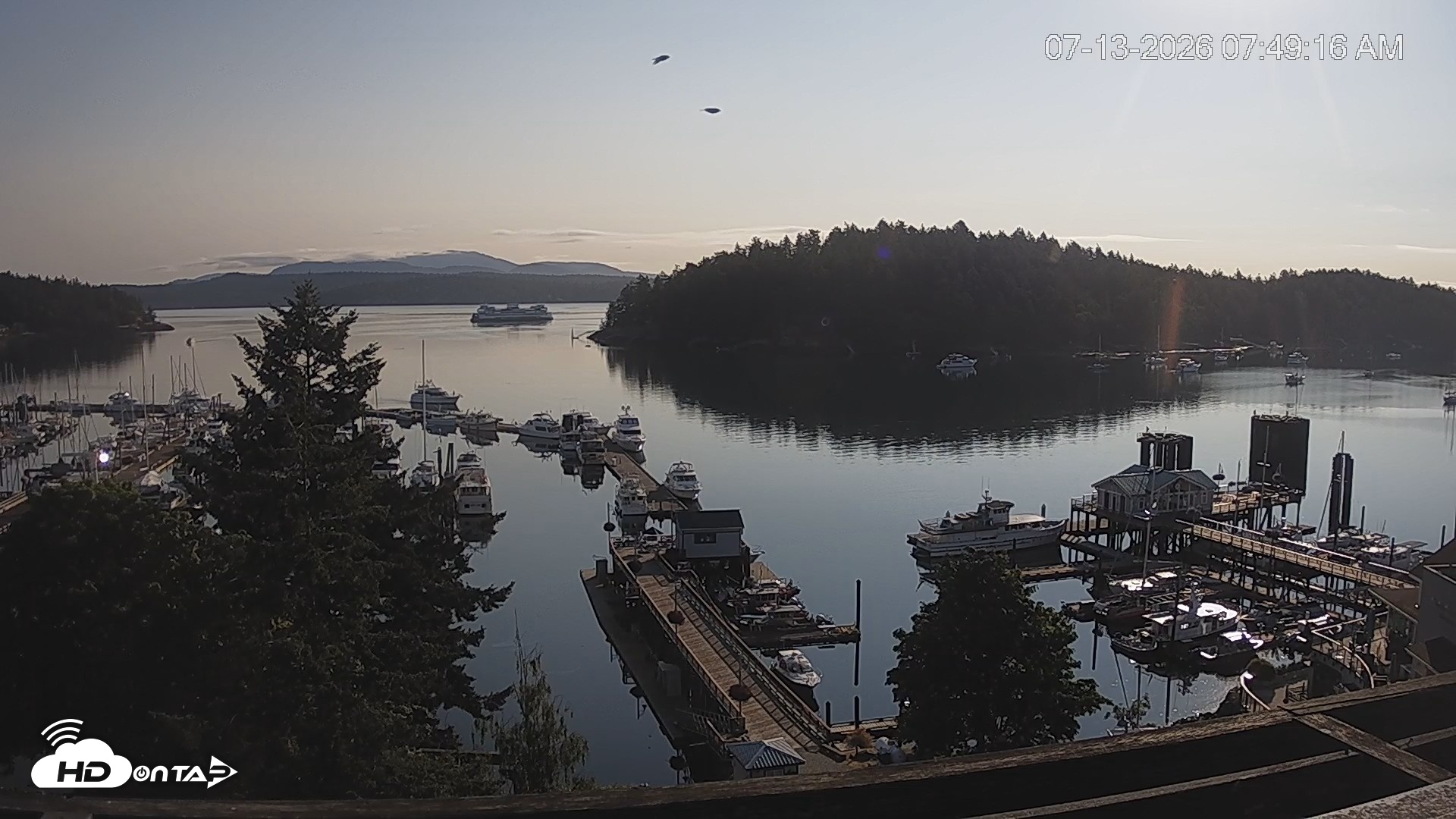 Snapshot of Friday Harbor - San Juan Island Live Webcam taken Jul 13, 2026, 7:50am PDT