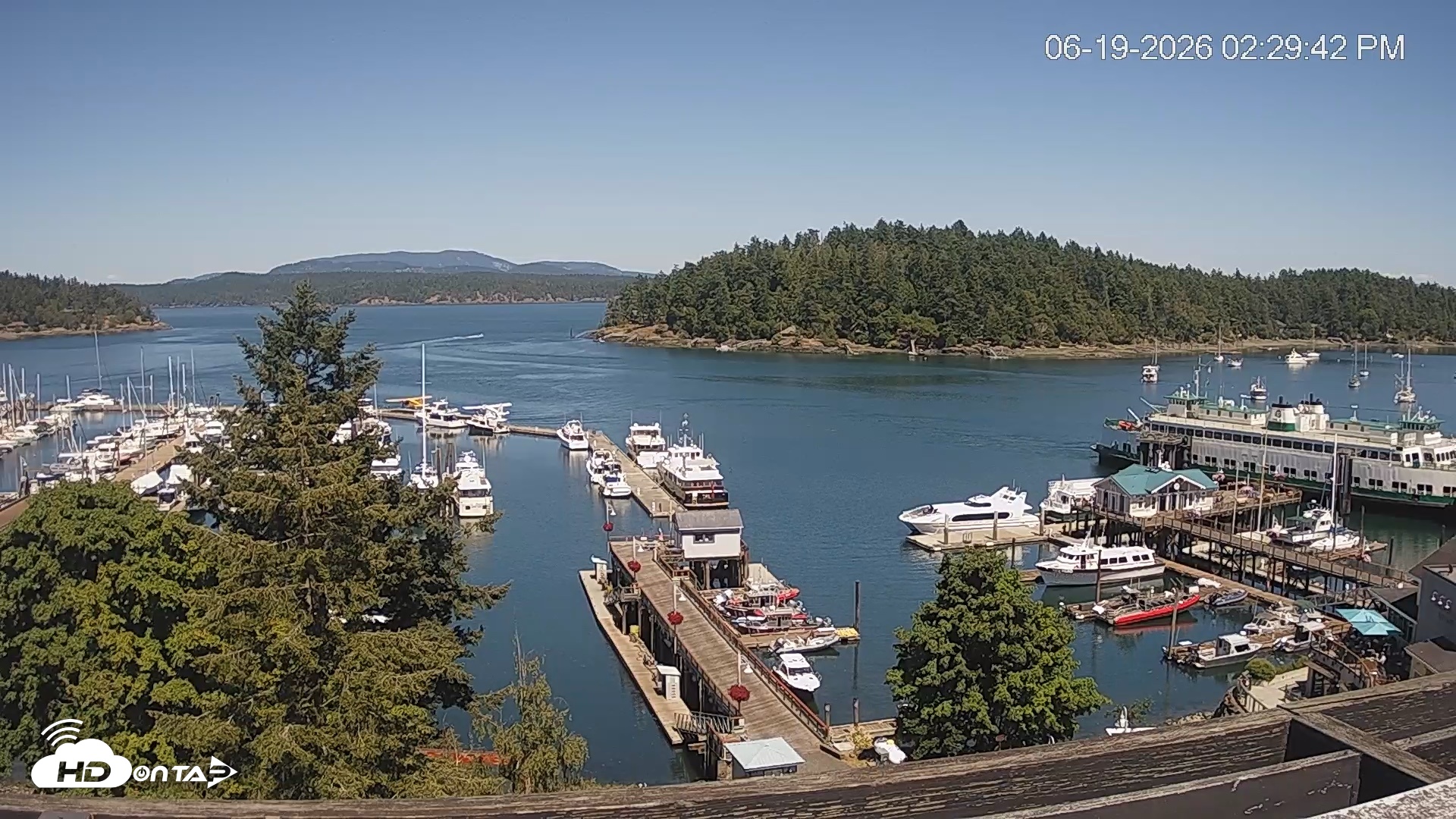 Snapshot of Friday Harbor - San Juan Island Live Webcam taken Jun 19, 2026, 2:30pm PDT