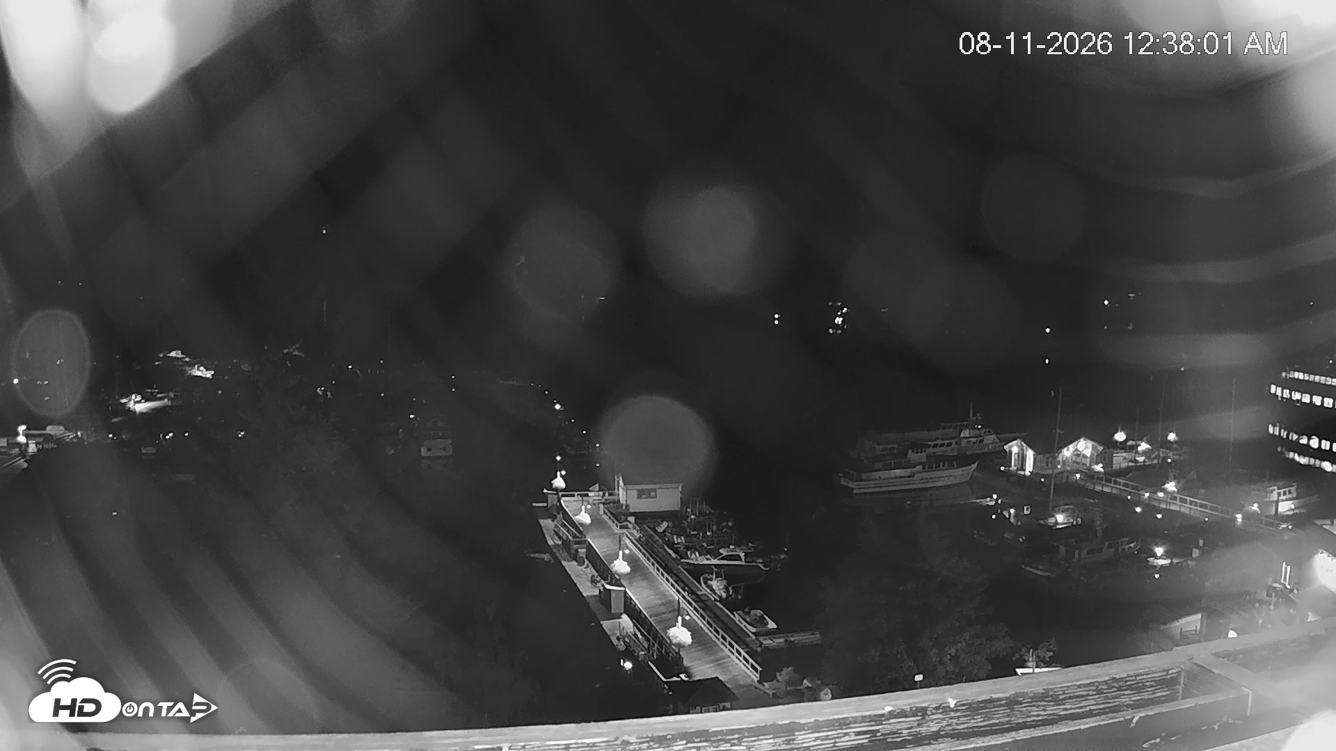 Snapshot of Friday Harbor - San Juan Island Live Webcam taken Aug 11, 2026, 12:38am PDT