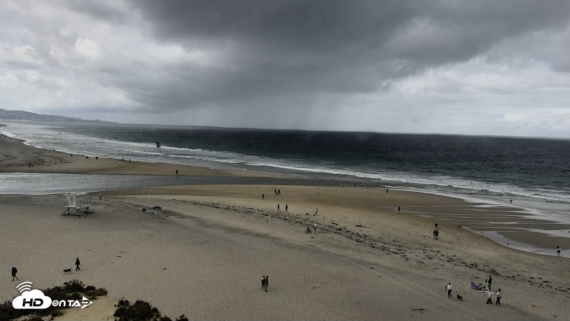 Snapshot of Del Mar Beach North Live Webcam taken Apr 12, 2026, 11:41am PDT