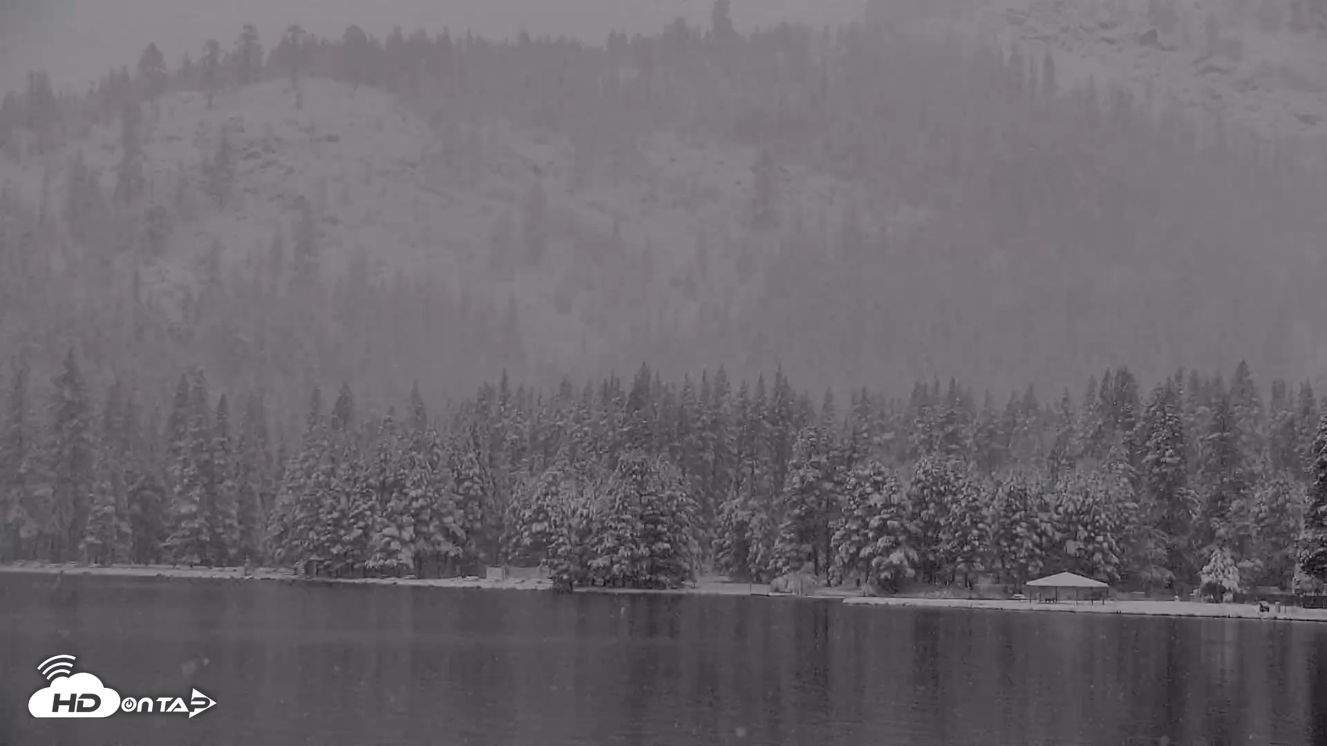 Snapshot of Donner Lake and Village Live Webcam taken Apr 12, 2026, 8:37am PDT