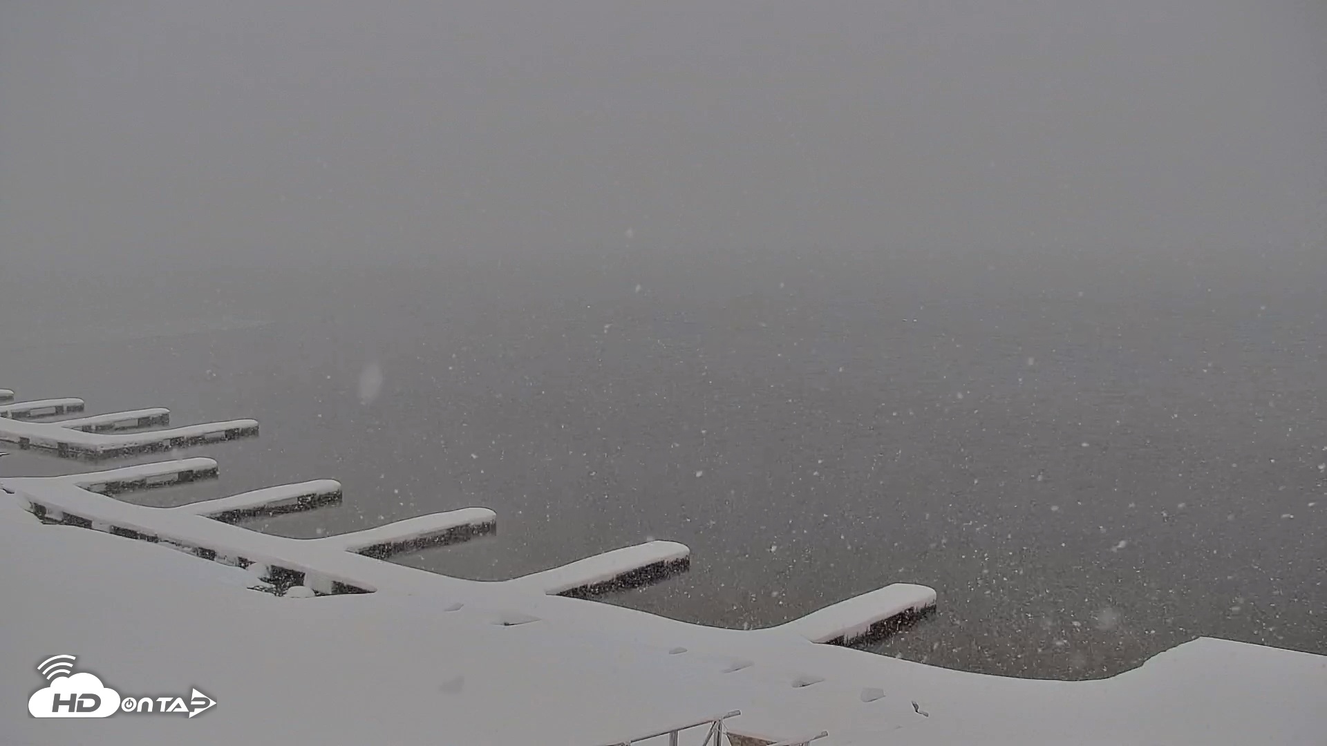 Snapshot of Donner Lake and Village Live Webcam taken Apr 1, 2025, 8:18am PDT