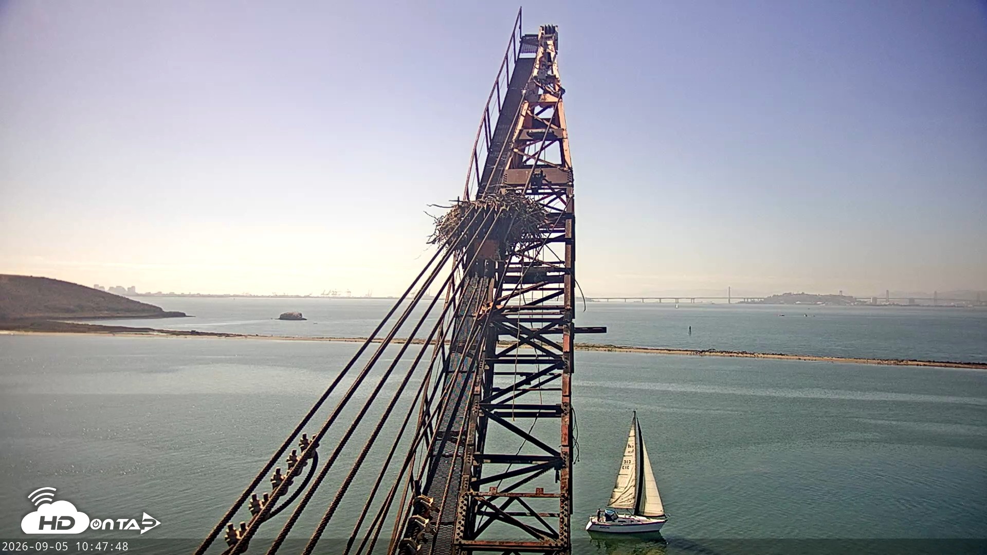 Snapshot of San Francisco Bay Osprey Nest Live Webcam taken Sep 5, 2026, 10:48am PDT