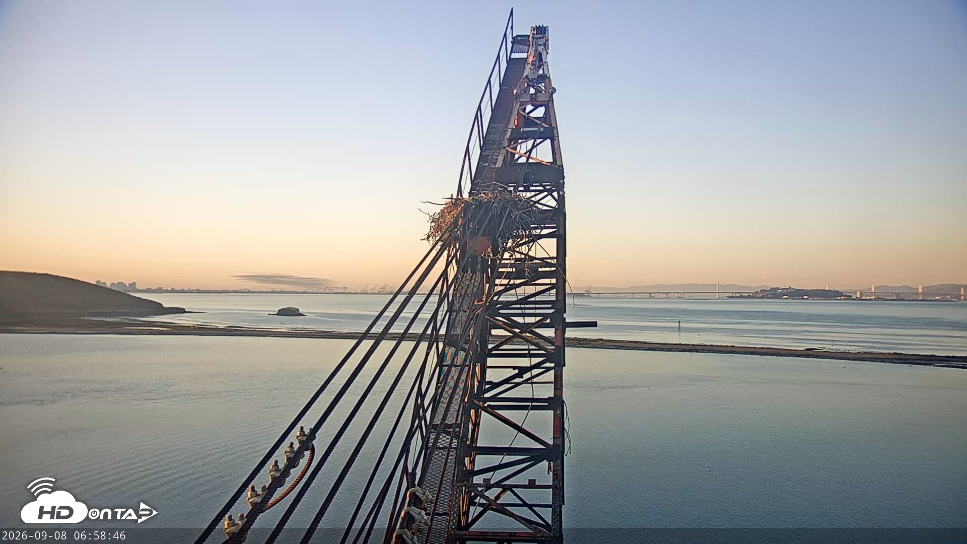 Snapshot of San Francisco Bay Osprey Nest Live Webcam taken Sep 8, 2026, 7:00am PDT
