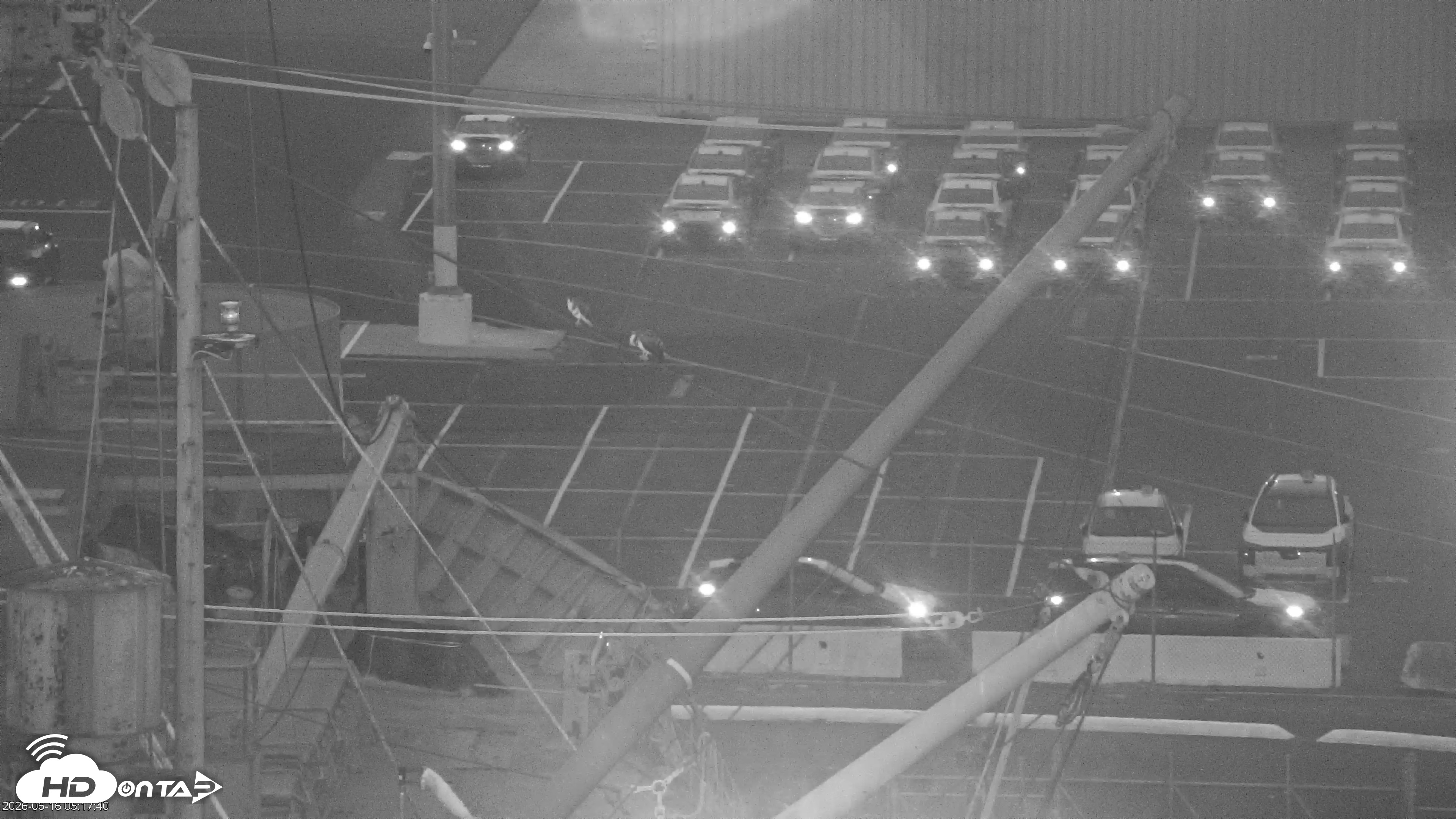 Snapshot of San Francisco Bay Osprey Nest Live Webcam taken Jun 16, 2026, 5:23am PDT