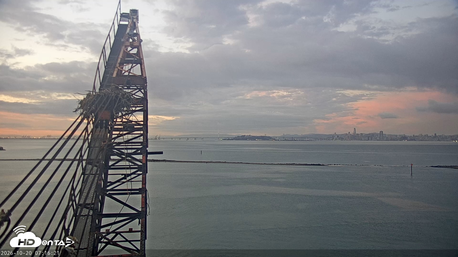 Snapshot of San Francisco Bay Osprey Nest Live Webcam taken Oct 20, 2026, 7:17am PDT