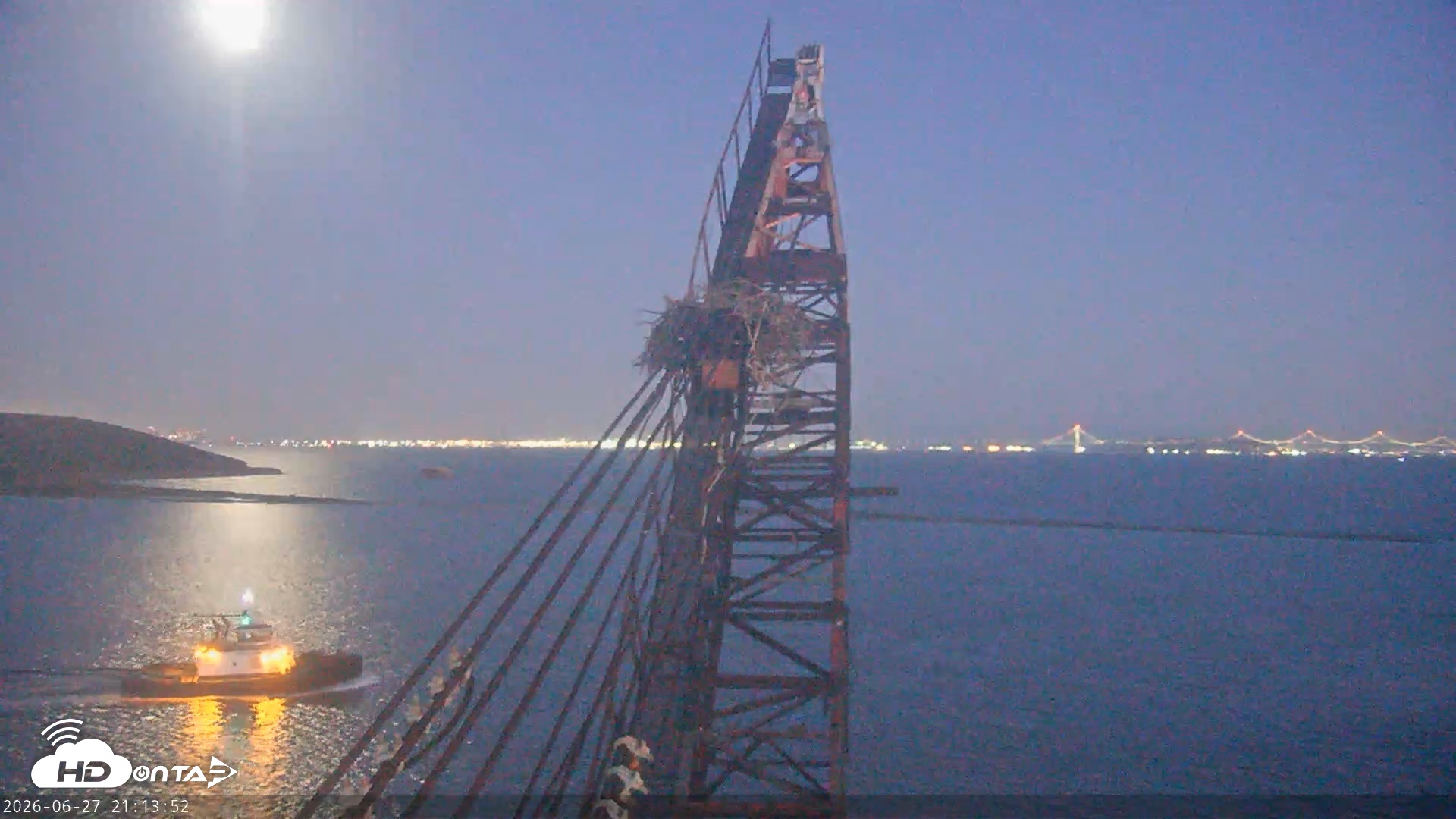 Snapshot of San Francisco Bay Osprey Nest Live Webcam taken Jun 27, 2026, 9:14pm PDT