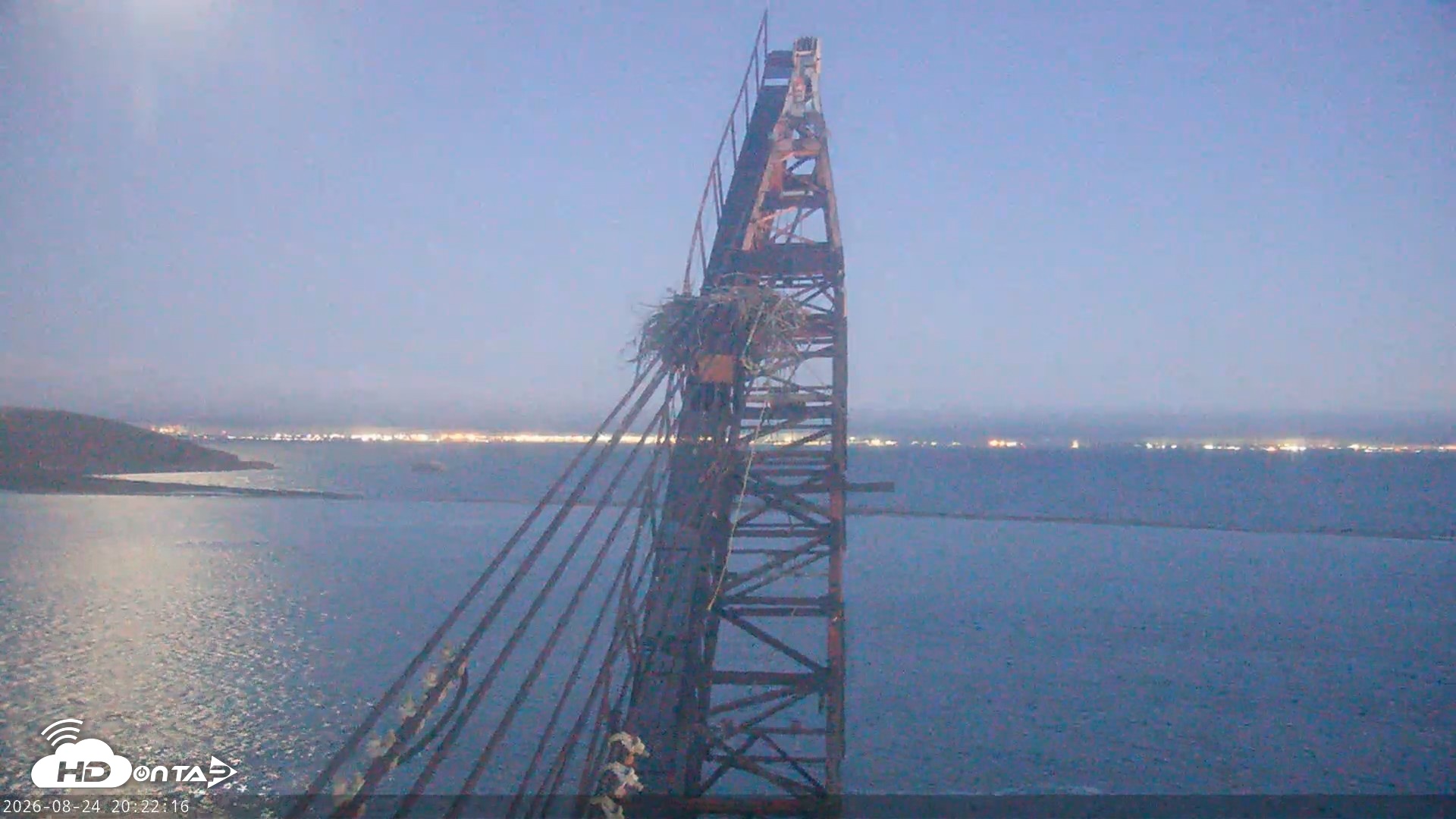 Snapshot of San Francisco Bay Osprey Nest Live Webcam taken Aug 24, 2026, 8:23pm PDT