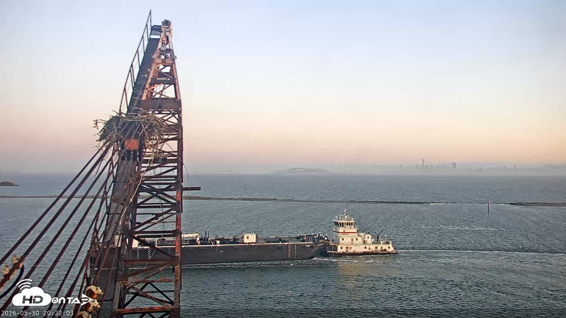 Snapshot of San Francisco Bay Osprey Nest Live Webcam taken May 30, 2026, 8:22pm PDT