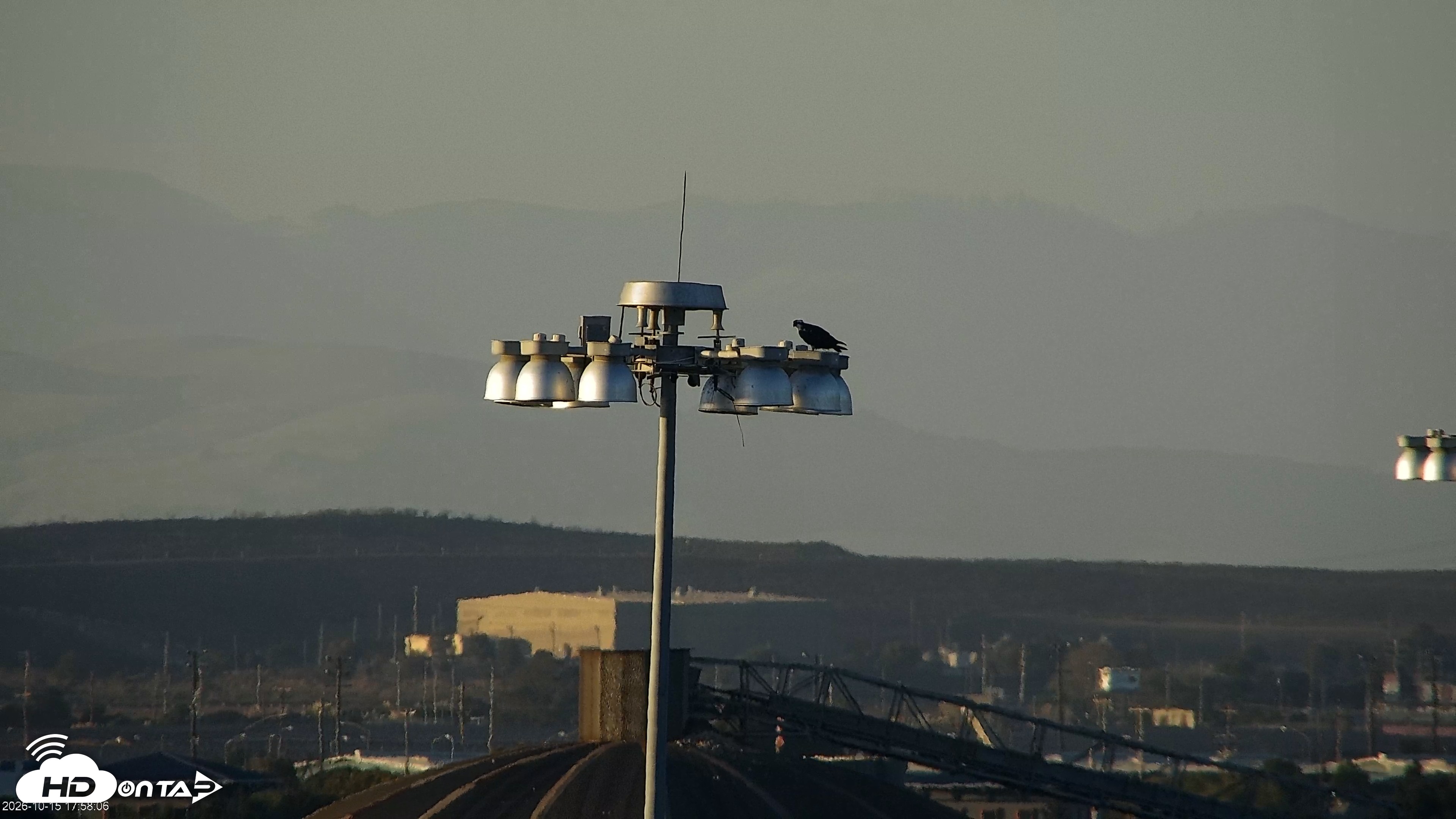 Snapshot of San Francisco Bay Osprey Nest Live Webcam taken Oct 15, 2026, 5:59pm PDT
