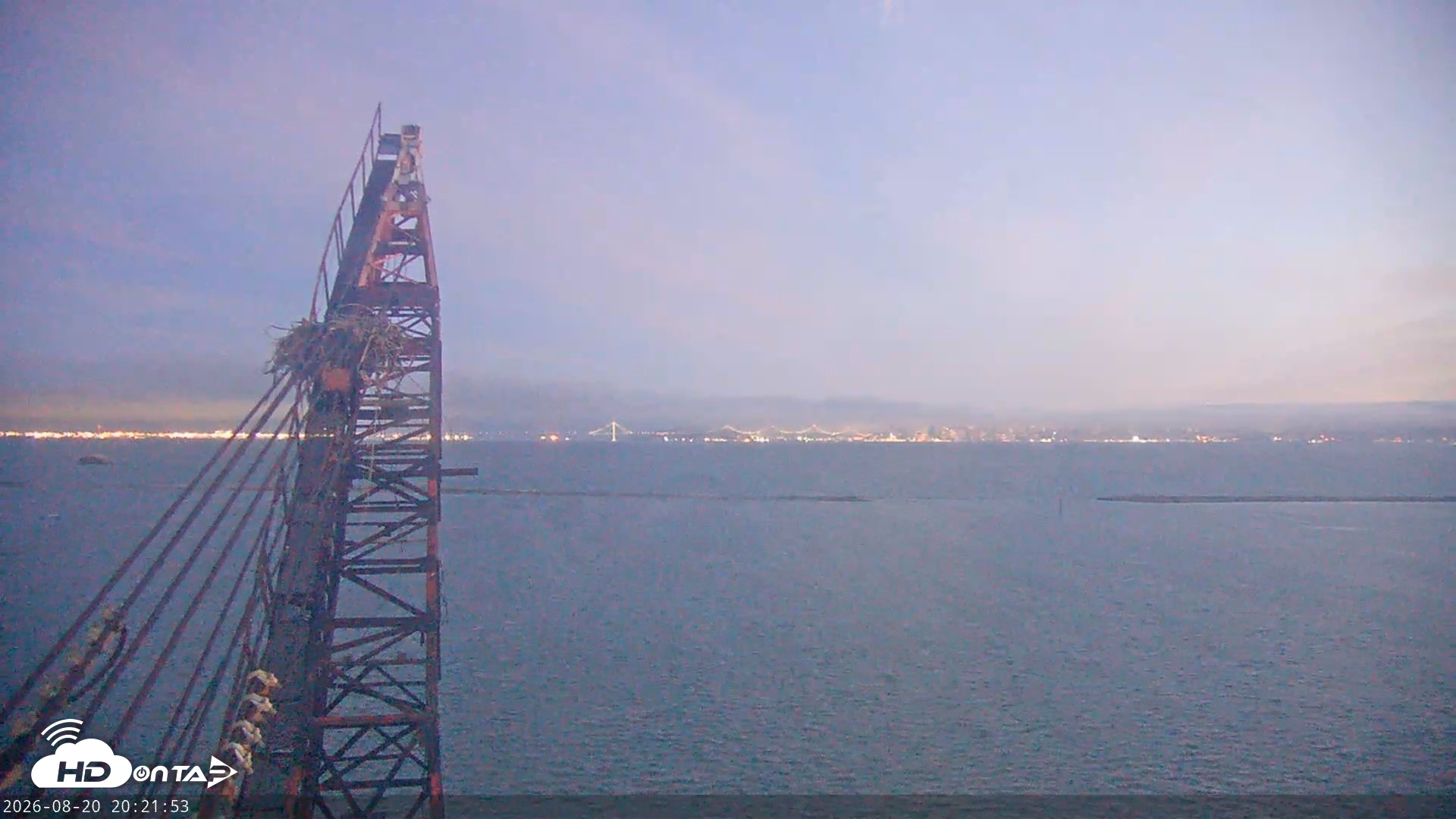 Snapshot of San Francisco Bay Osprey Nest Live Webcam taken Aug 20, 2026, 8:22pm PDT