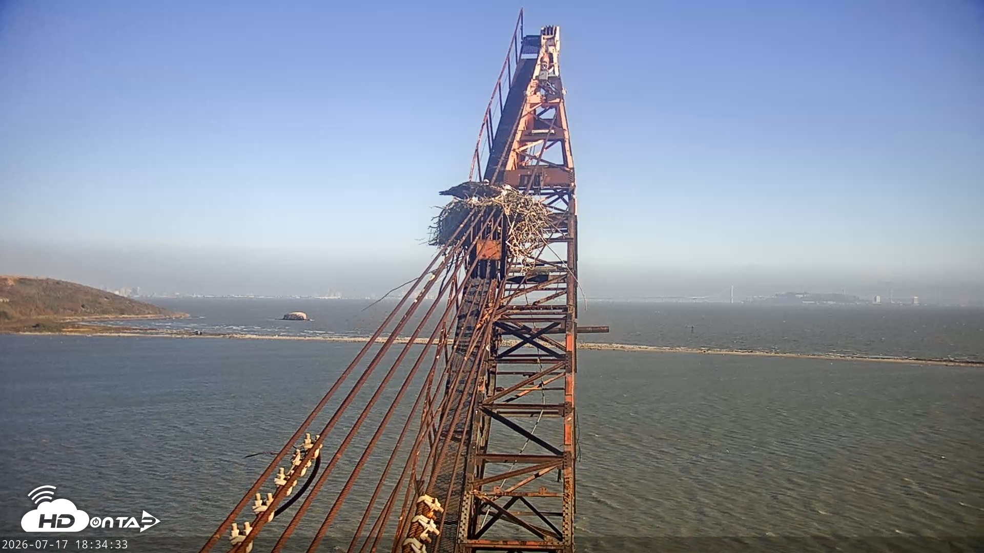Snapshot of San Francisco Bay Osprey Nest Live Webcam taken Jul 17, 2026, 6:35pm PDT