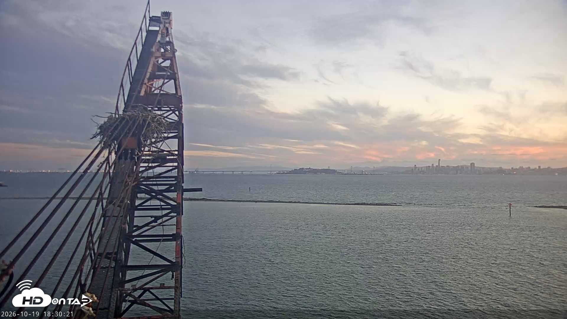Snapshot of San Francisco Bay Osprey Nest Live Webcam taken Oct 19, 2026, 6:31pm PDT
