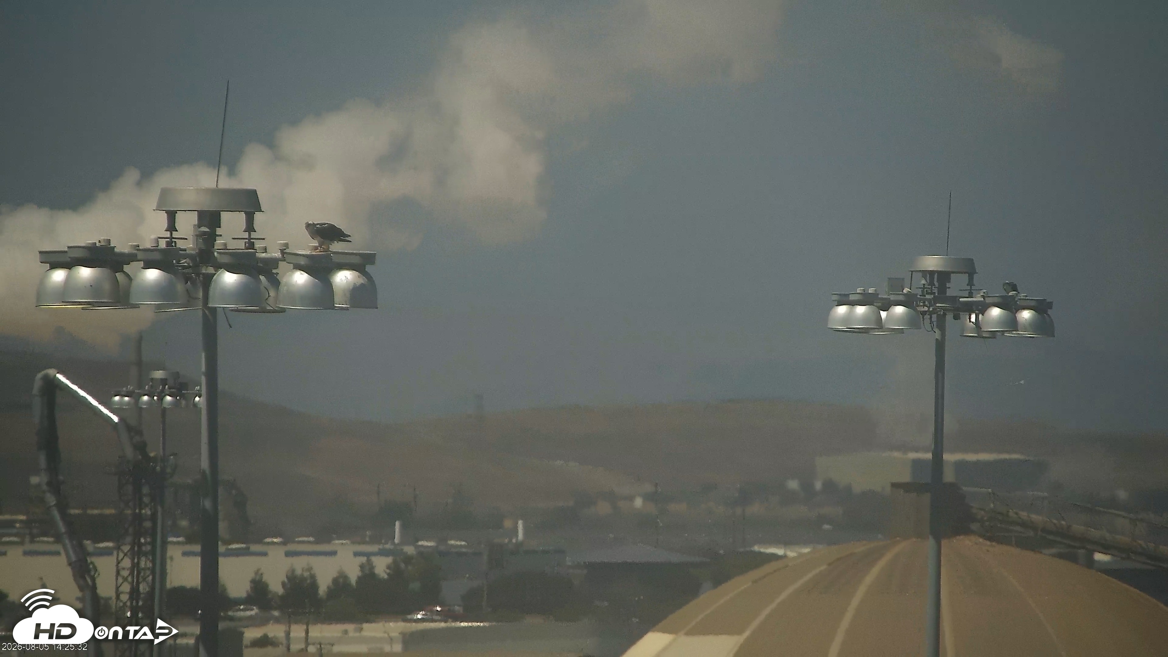 Snapshot of San Francisco Bay Osprey Nest Live Webcam taken Aug 5, 2026, 2:26pm PDT