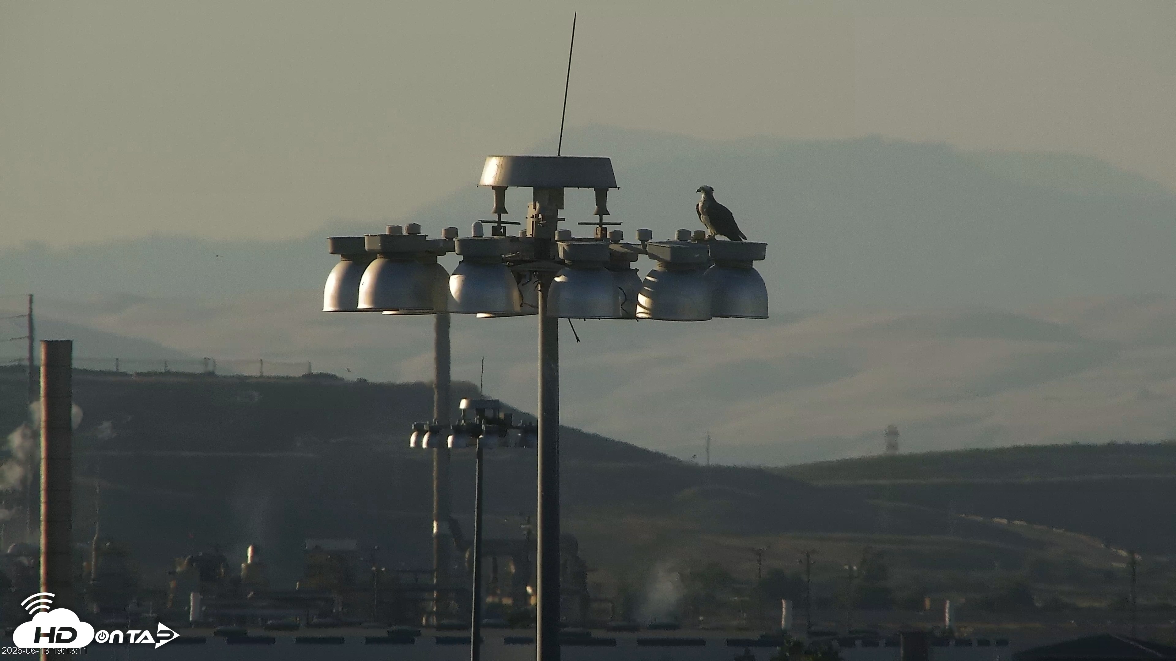 Snapshot of San Francisco Bay Osprey Nest Live Webcam taken Jun 13, 2026, 7:15pm PDT
