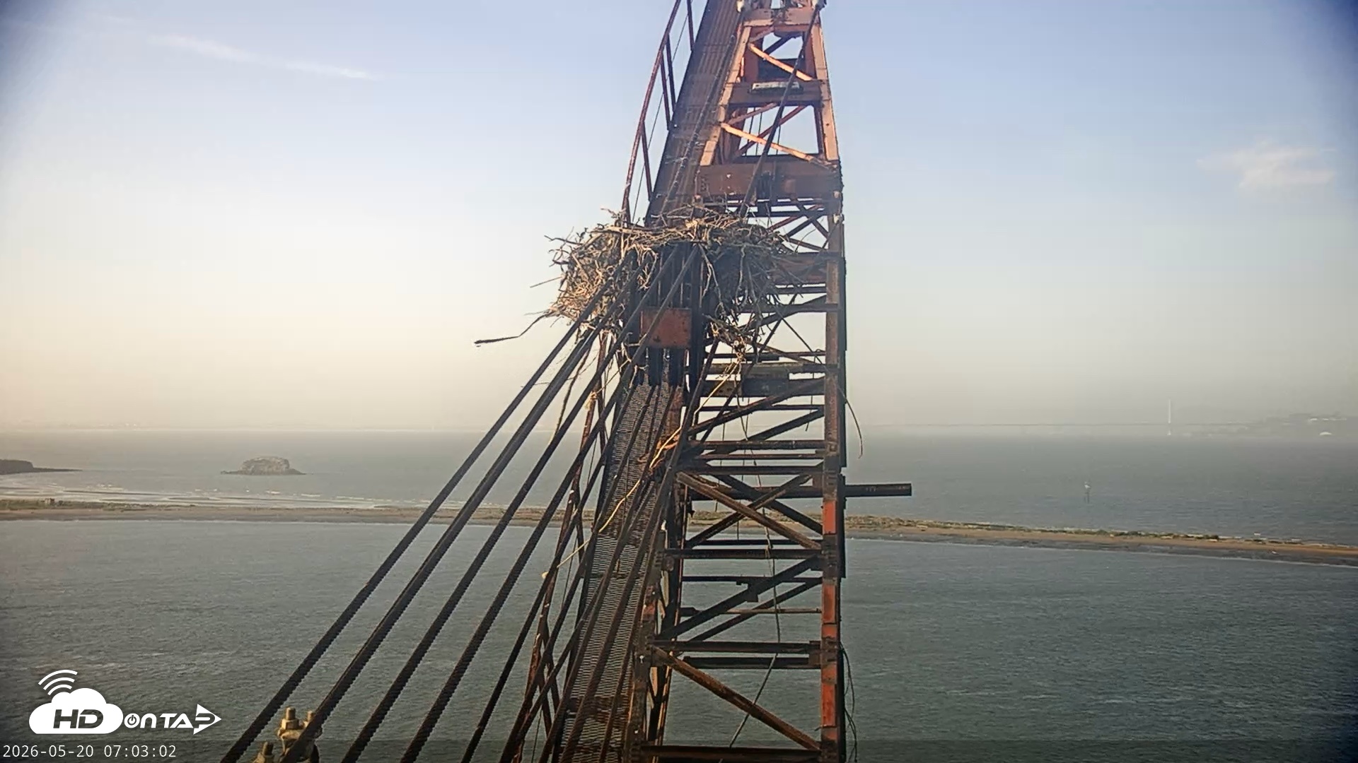 Snapshot of San Francisco Bay Osprey Nest Live Webcam taken May 20, 2026, 7:03am PDT