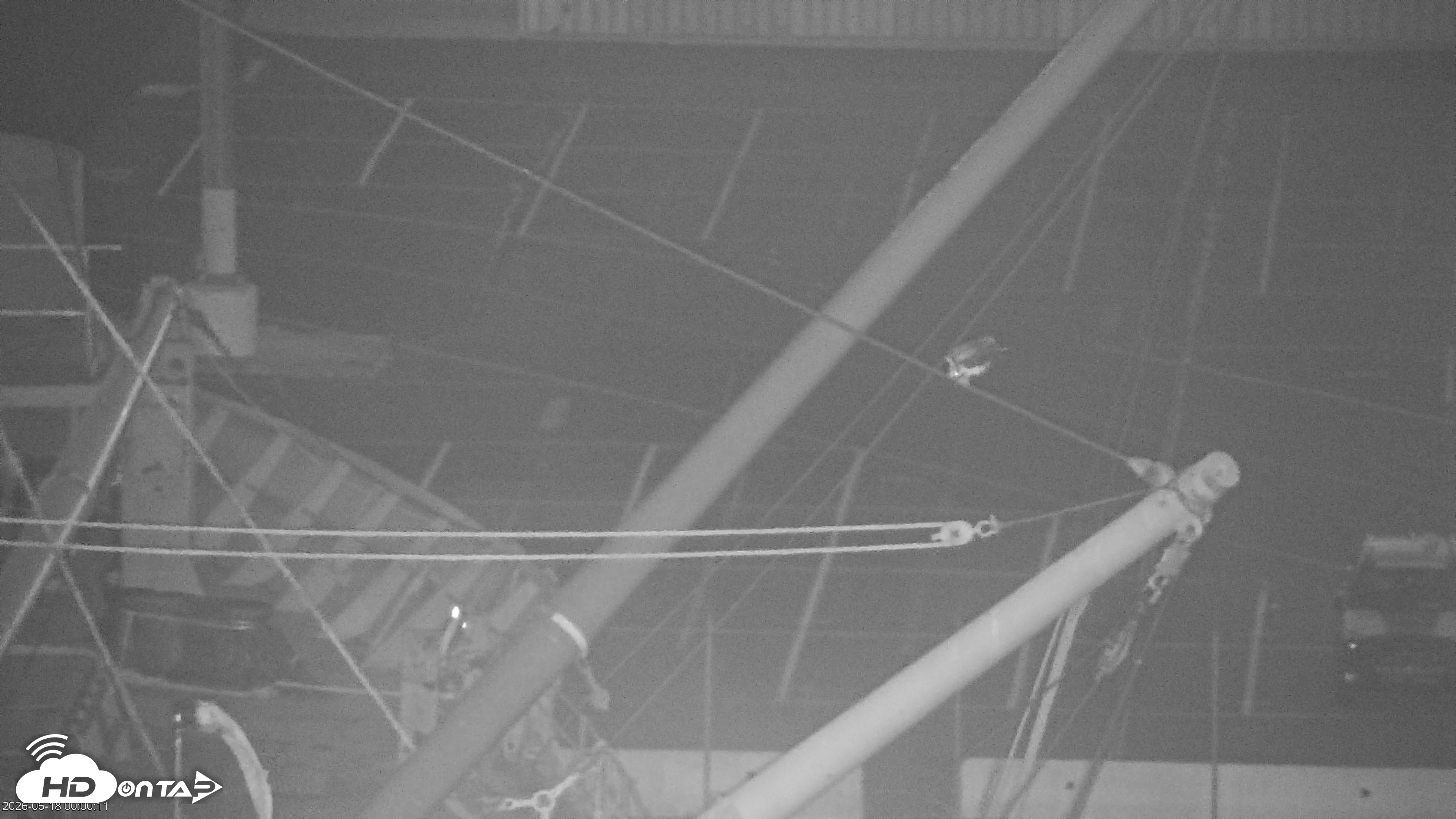 Snapshot of San Francisco Bay Osprey Nest Live Webcam taken Jun 18, 2026, 12:02am PDT