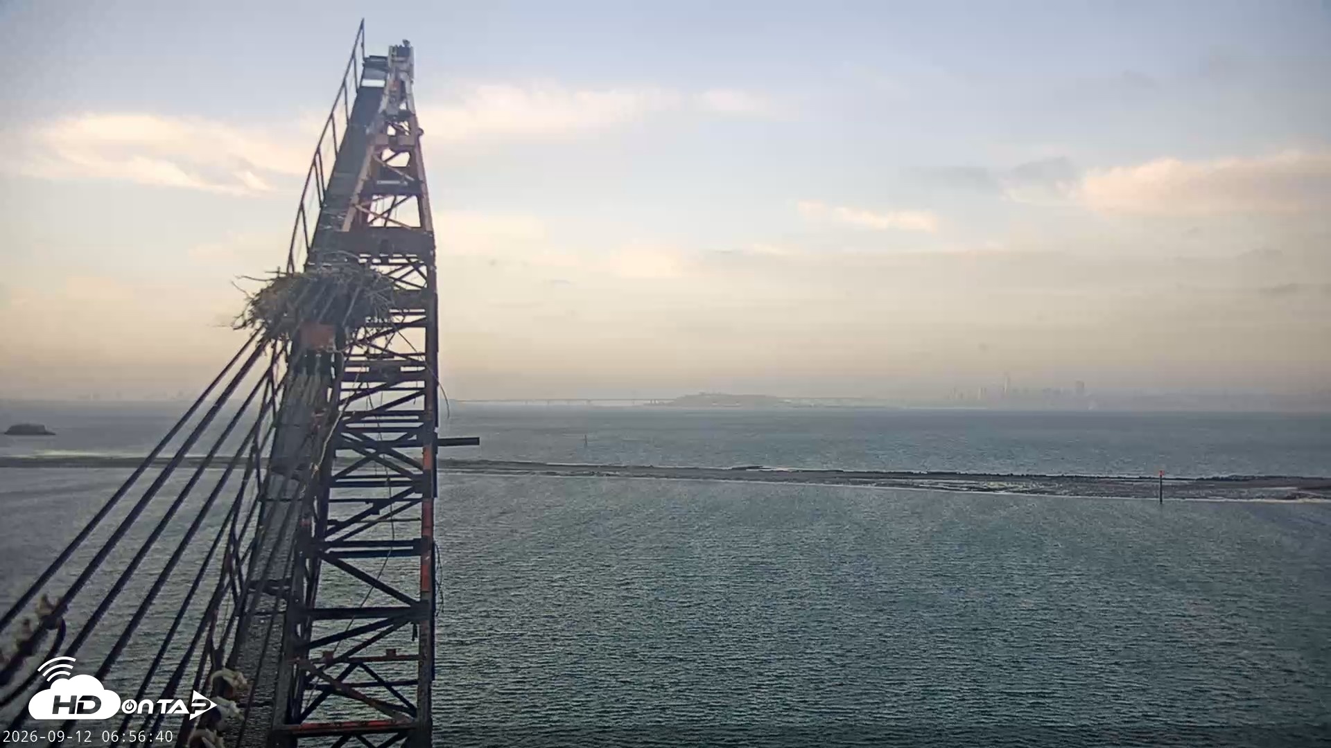 Snapshot of San Francisco Bay Osprey Nest Live Webcam taken Sep 12, 2026, 6:57am PDT