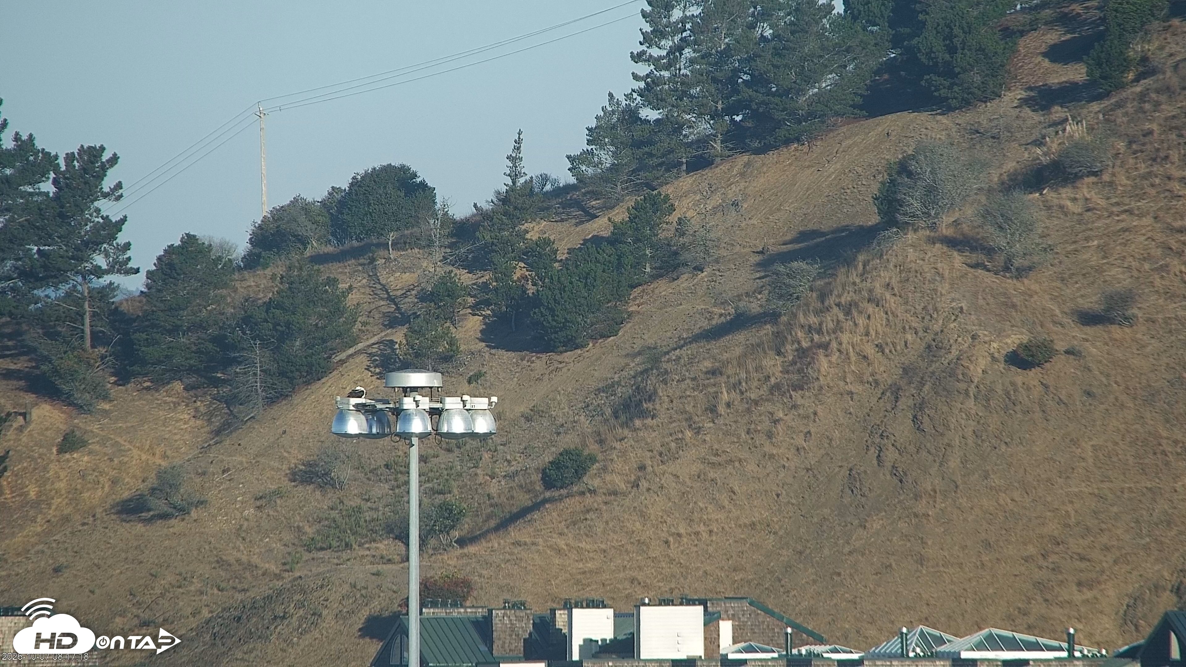 Snapshot of San Francisco Bay Osprey Nest Live Webcam taken Oct 7, 2026, 8:18am PDT