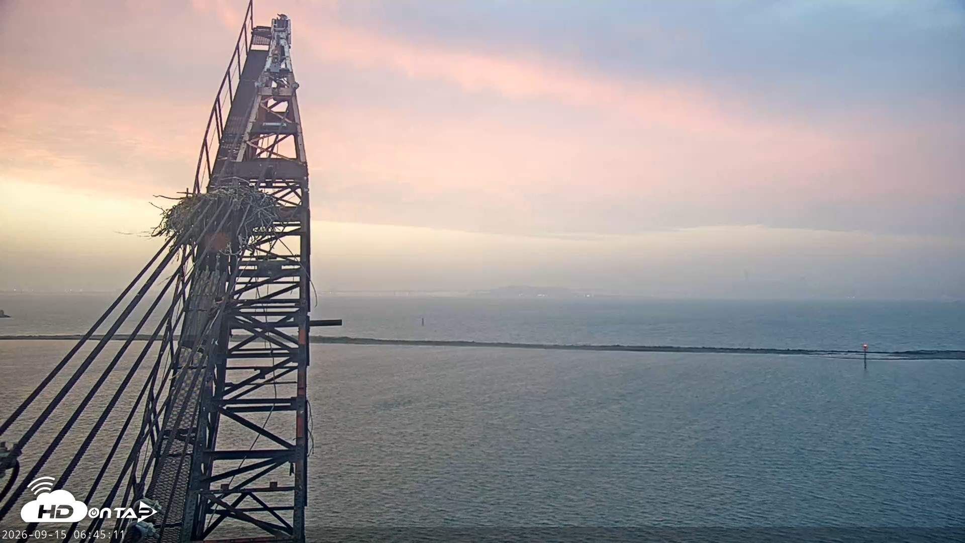 Snapshot of San Francisco Bay Osprey Nest Live Webcam taken Sep 15, 2026, 6:46am PDT