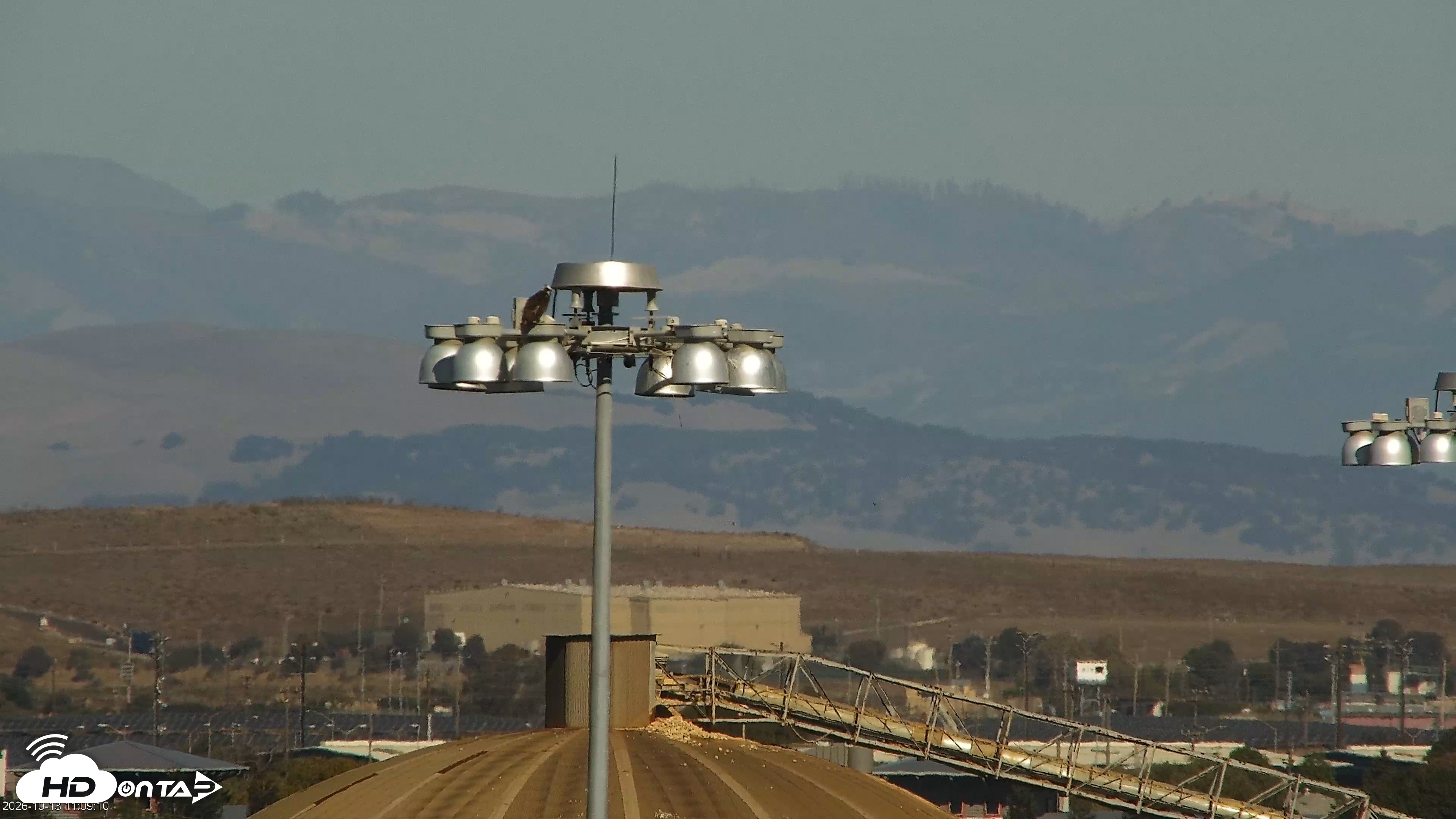 Snapshot of San Francisco Bay Osprey Nest Live Webcam taken Oct 13, 2026, 11:09am PDT