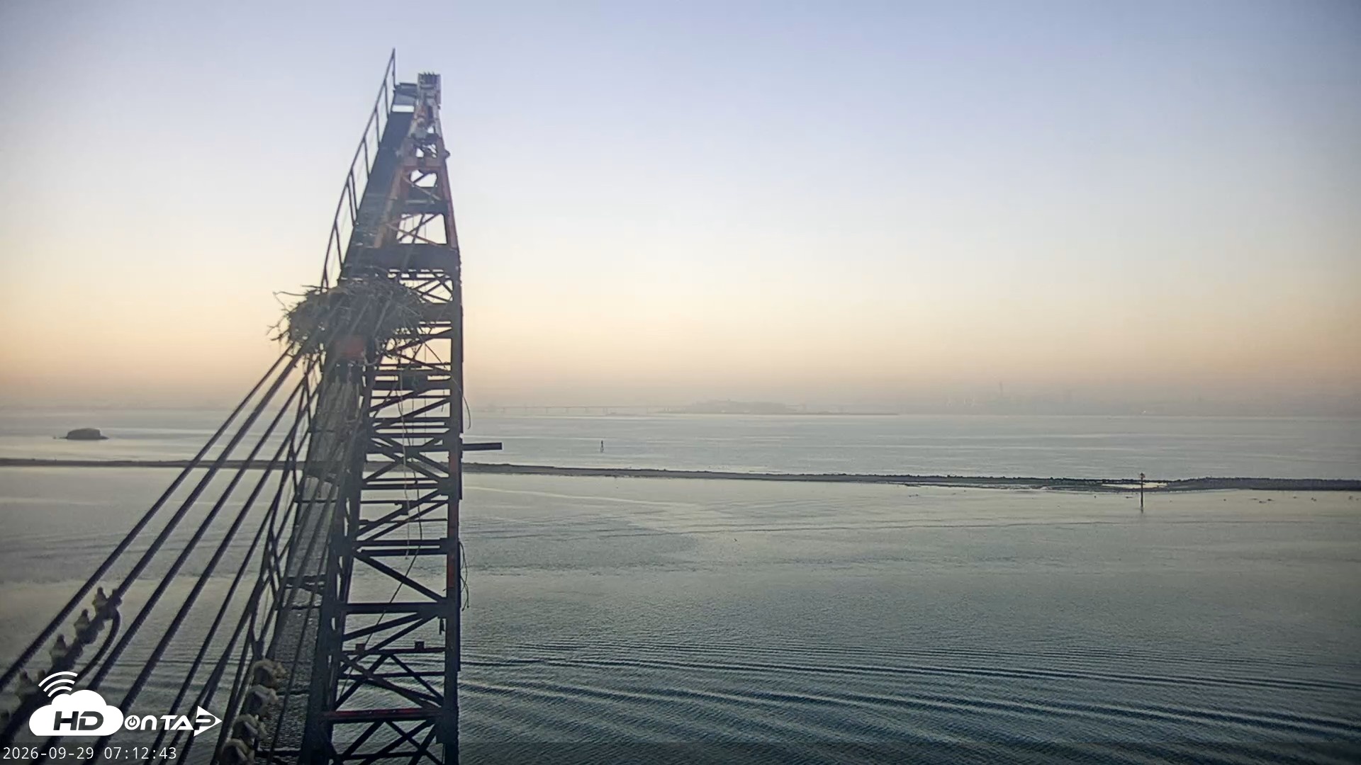 Snapshot of San Francisco Bay Osprey Nest Live Webcam taken Sep 29, 2026, 7:13am PDT