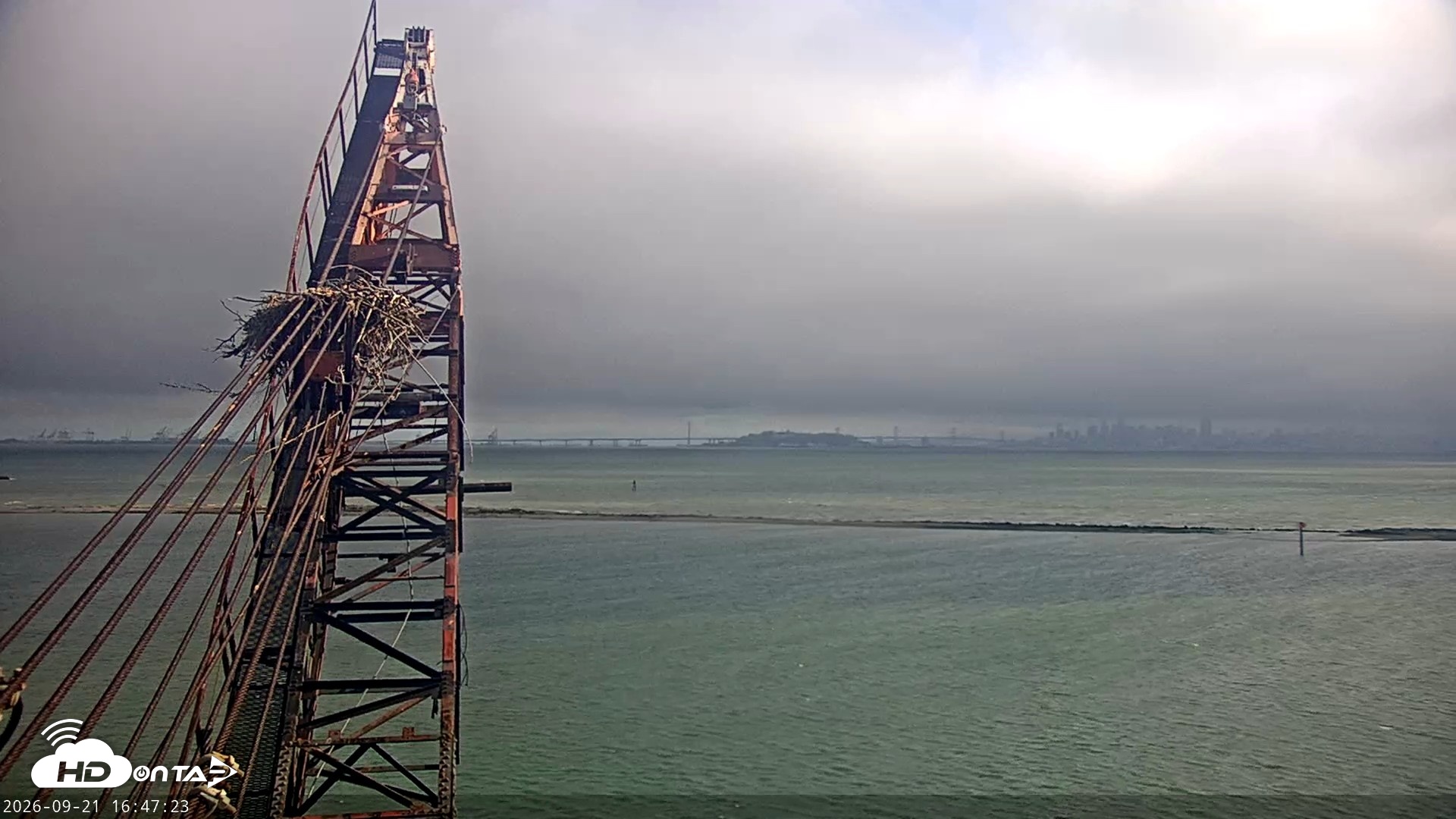 Snapshot of San Francisco Bay Osprey Nest Live Webcam taken Sep 21, 2026, 4:48pm PDT