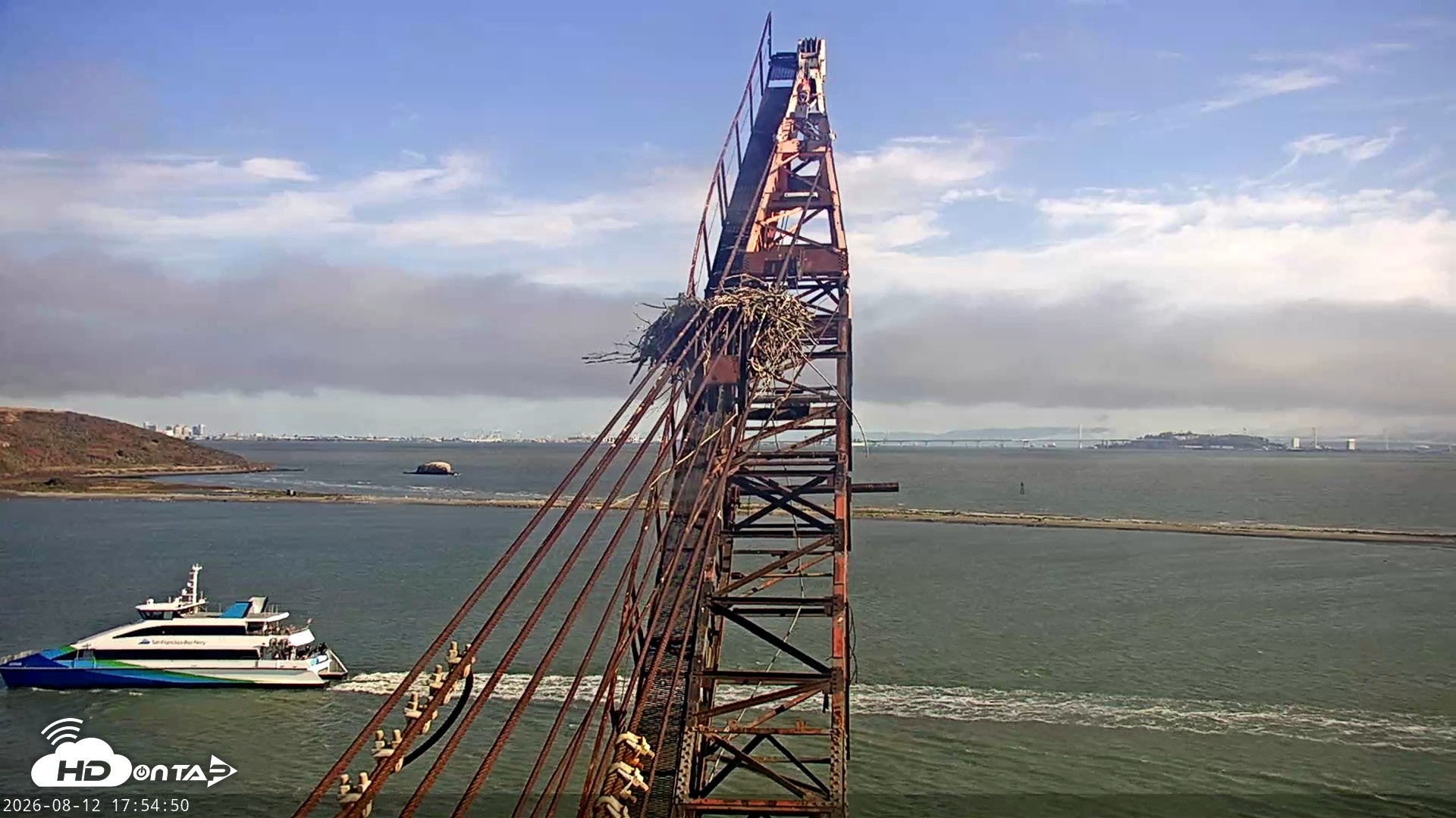 Snapshot of San Francisco Bay Osprey Nest Live Webcam taken Aug 12, 2026, 5:56pm PDT
