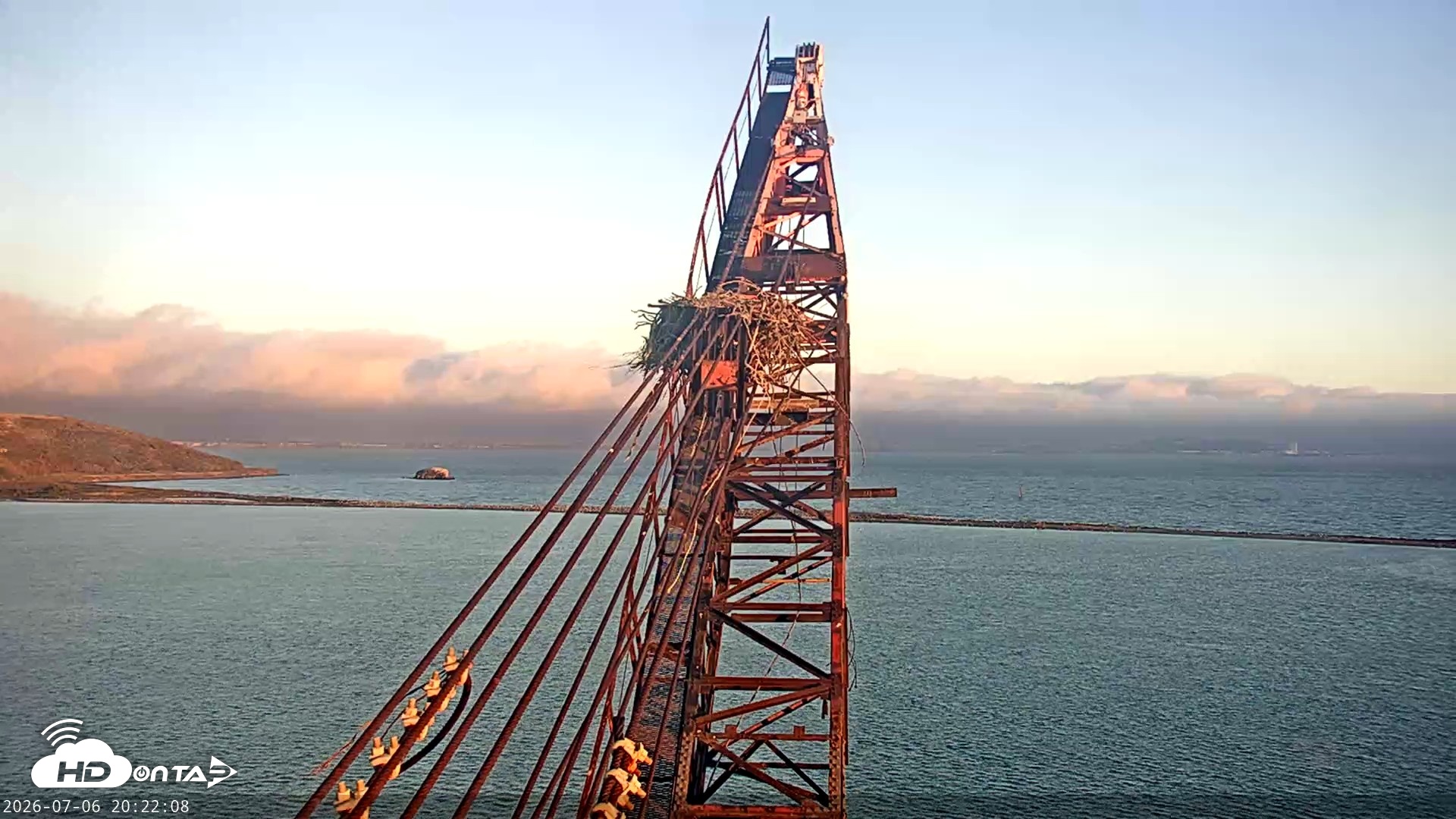 Snapshot of San Francisco Bay Osprey Nest Live Webcam taken Jul 6, 2026, 8:23pm PDT