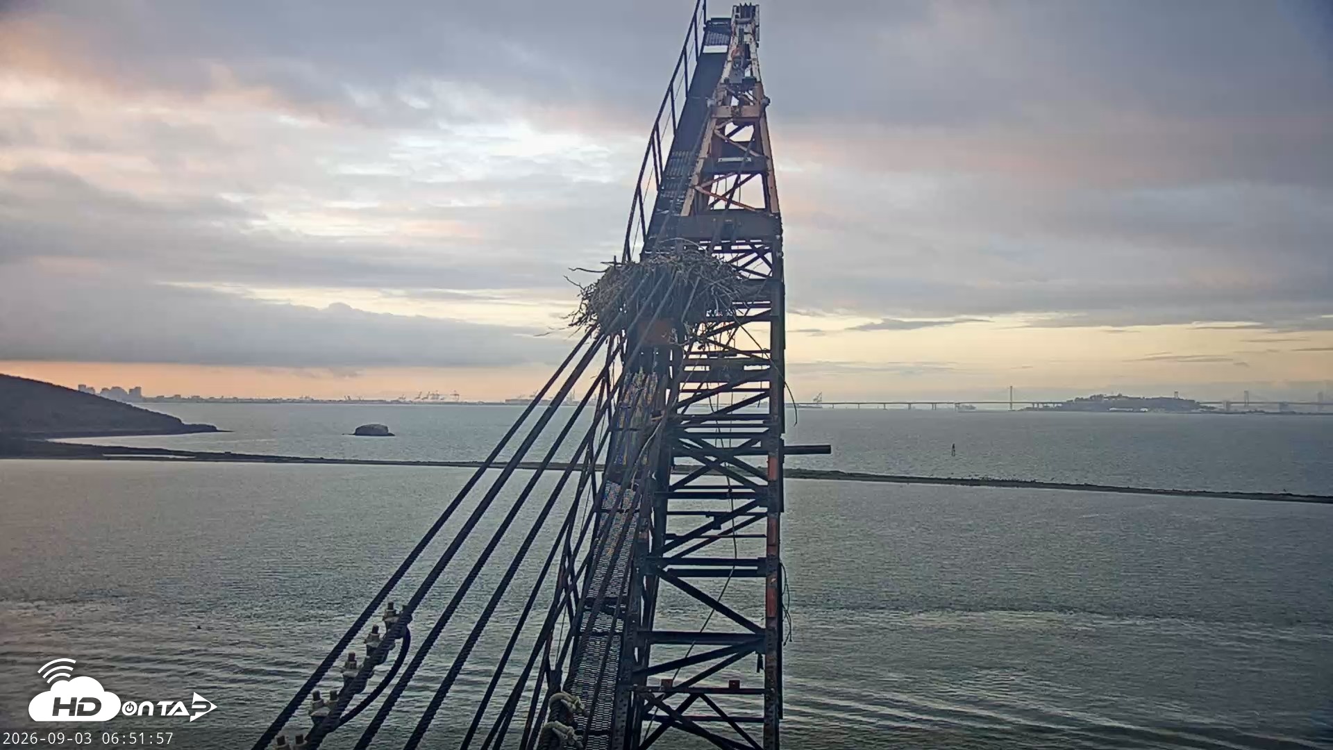 Snapshot of San Francisco Bay Osprey Nest Live Webcam taken Sep 3, 2026, 6:53am PDT