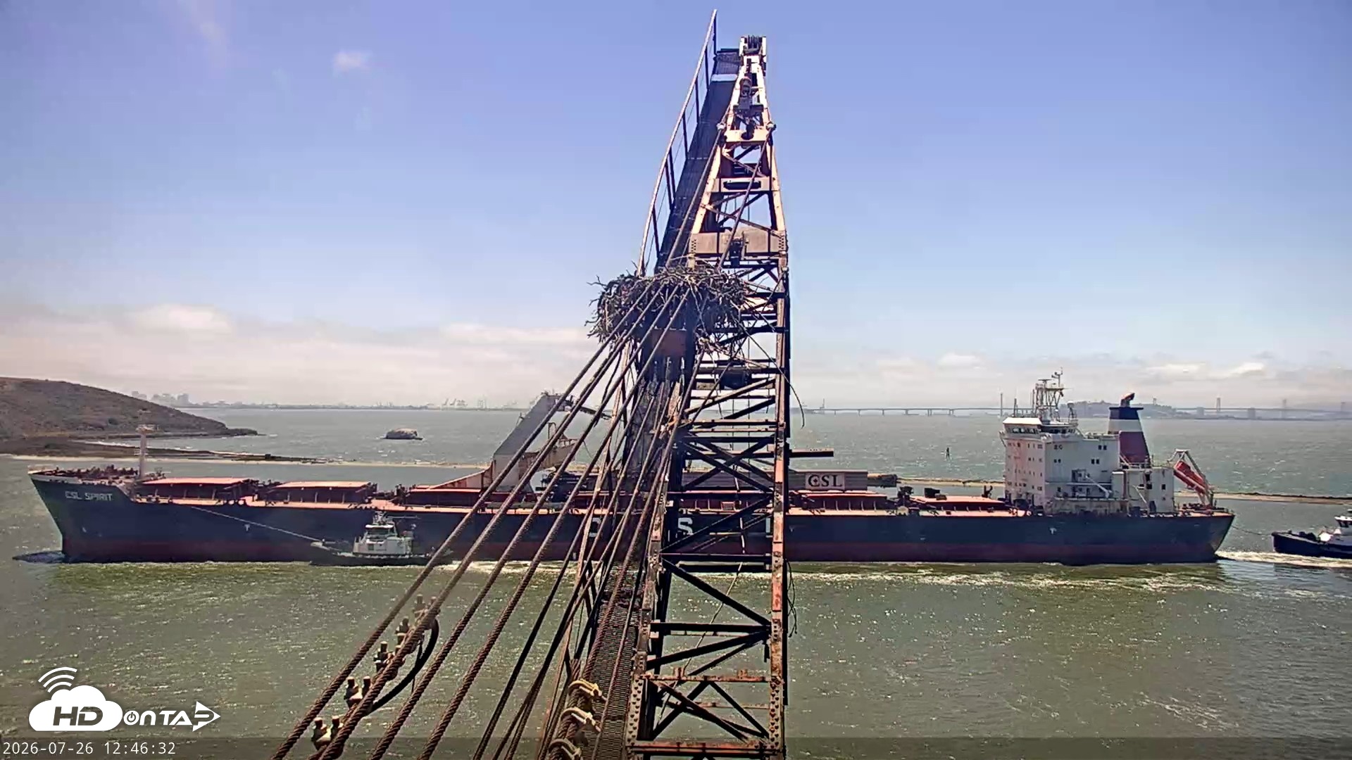 Snapshot of San Francisco Bay Osprey Nest Live Webcam taken Jul 26, 2026, 12:47pm PDT