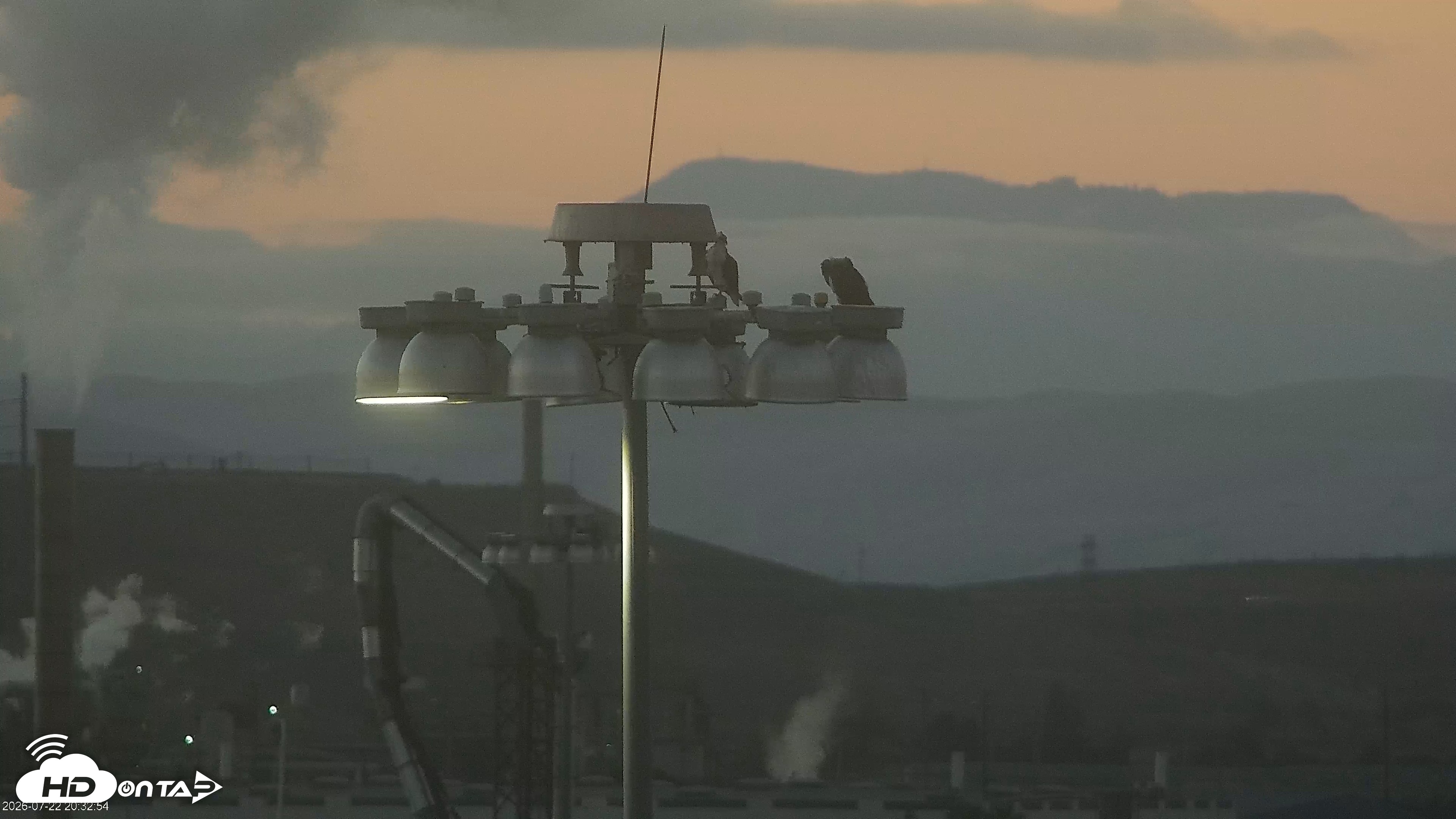 Snapshot of San Francisco Bay Osprey Nest Live Webcam taken Jul 22, 2026, 8:33pm PDT