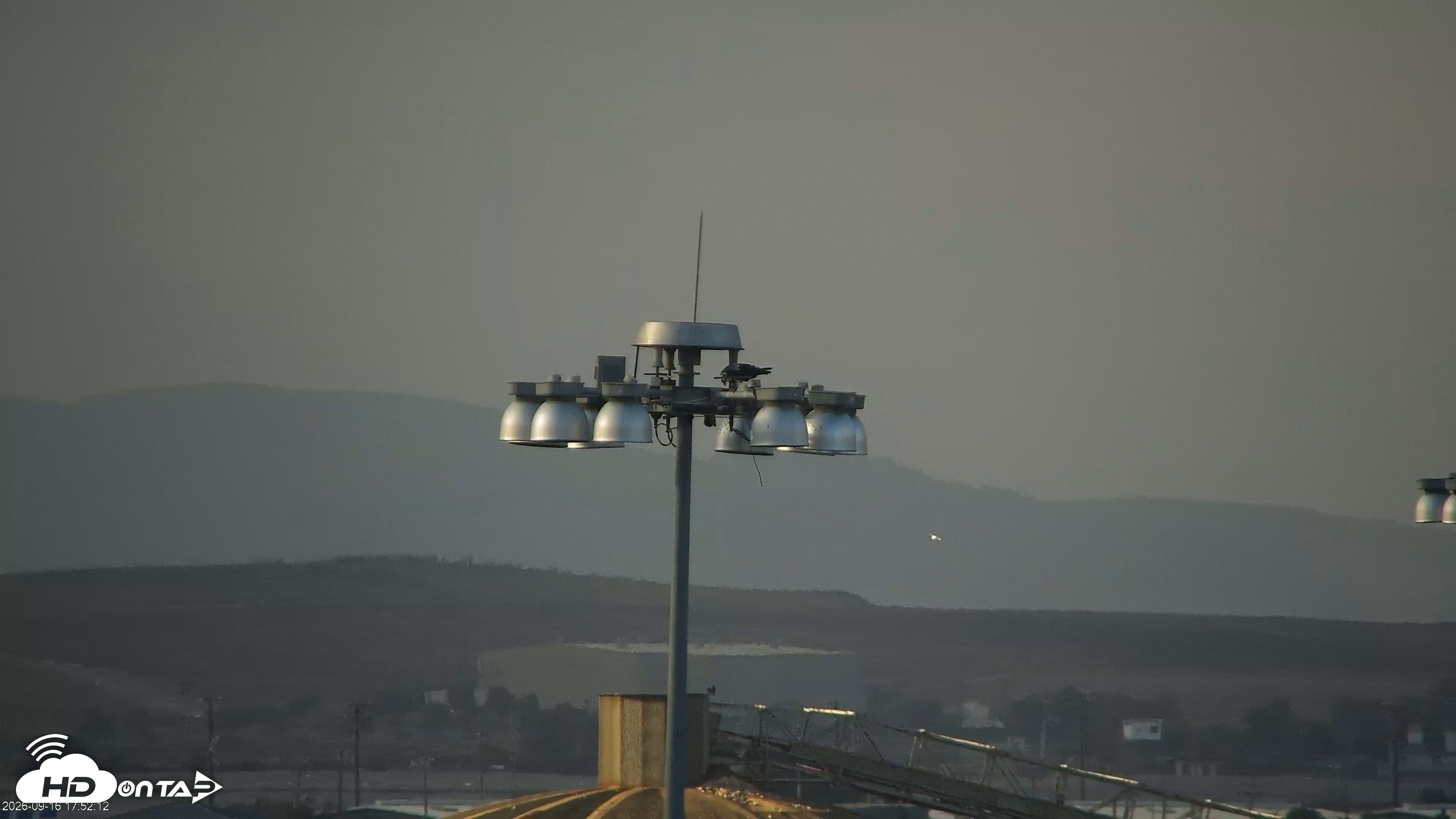 Snapshot of San Francisco Bay Osprey Nest Live Webcam taken Sep 16, 2026, 5:55pm PDT