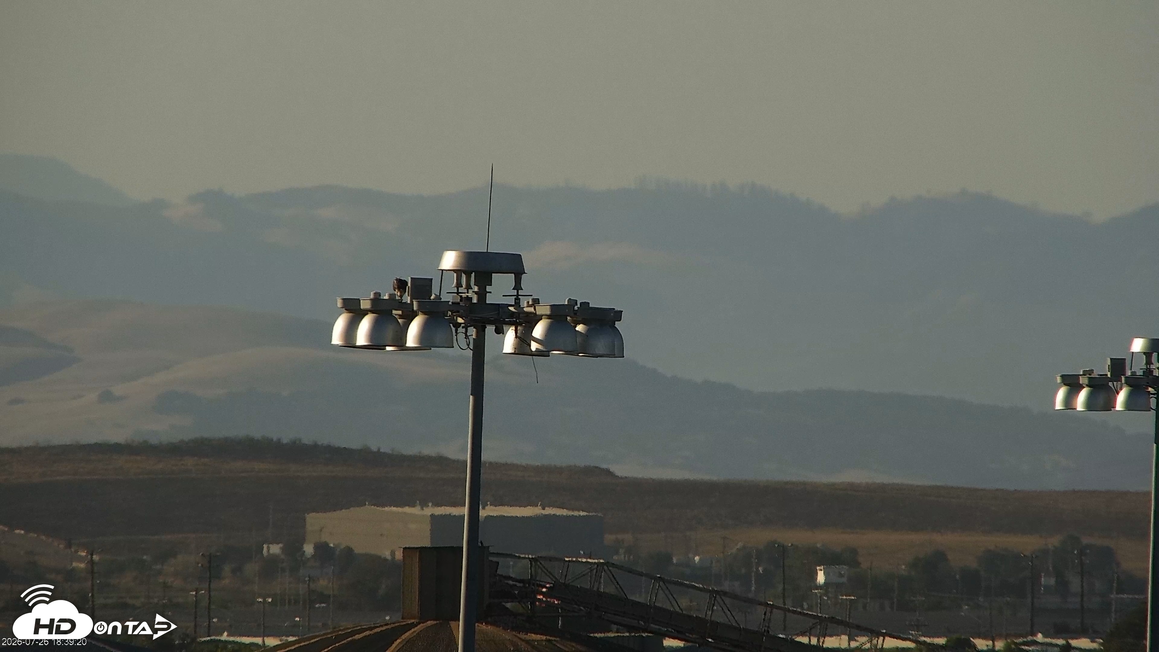 Snapshot of San Francisco Bay Osprey Nest Live Webcam taken Jul 26, 2026, 6:41pm PDT