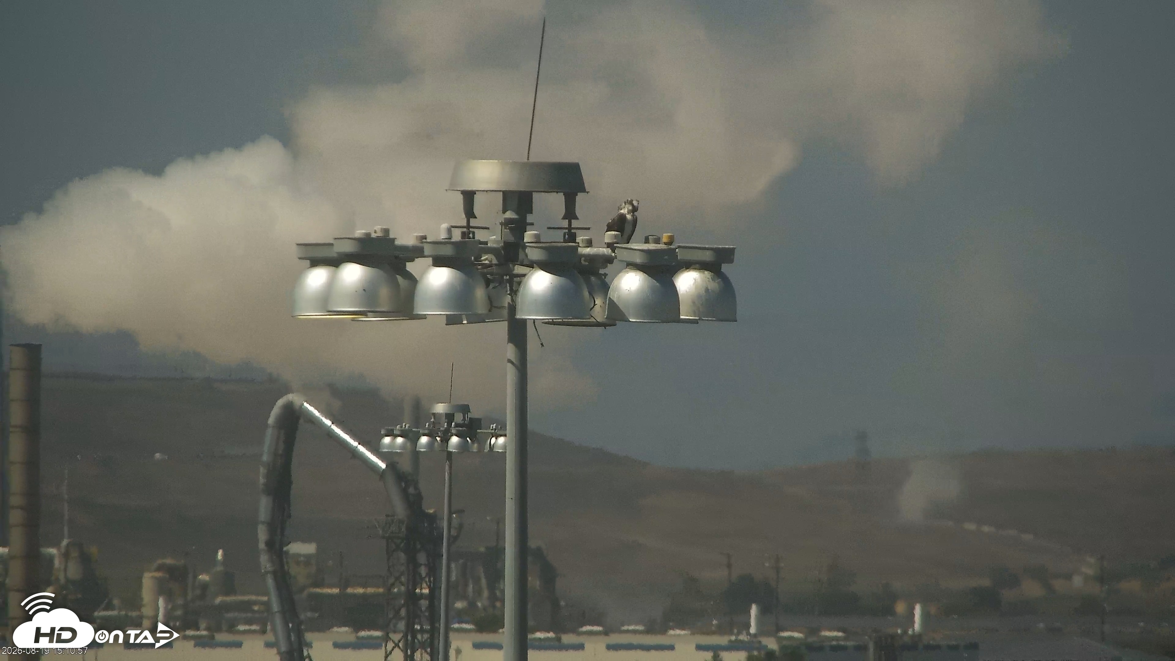 Snapshot of San Francisco Bay Osprey Nest Live Webcam taken Aug 19, 2026, 3:12pm PDT