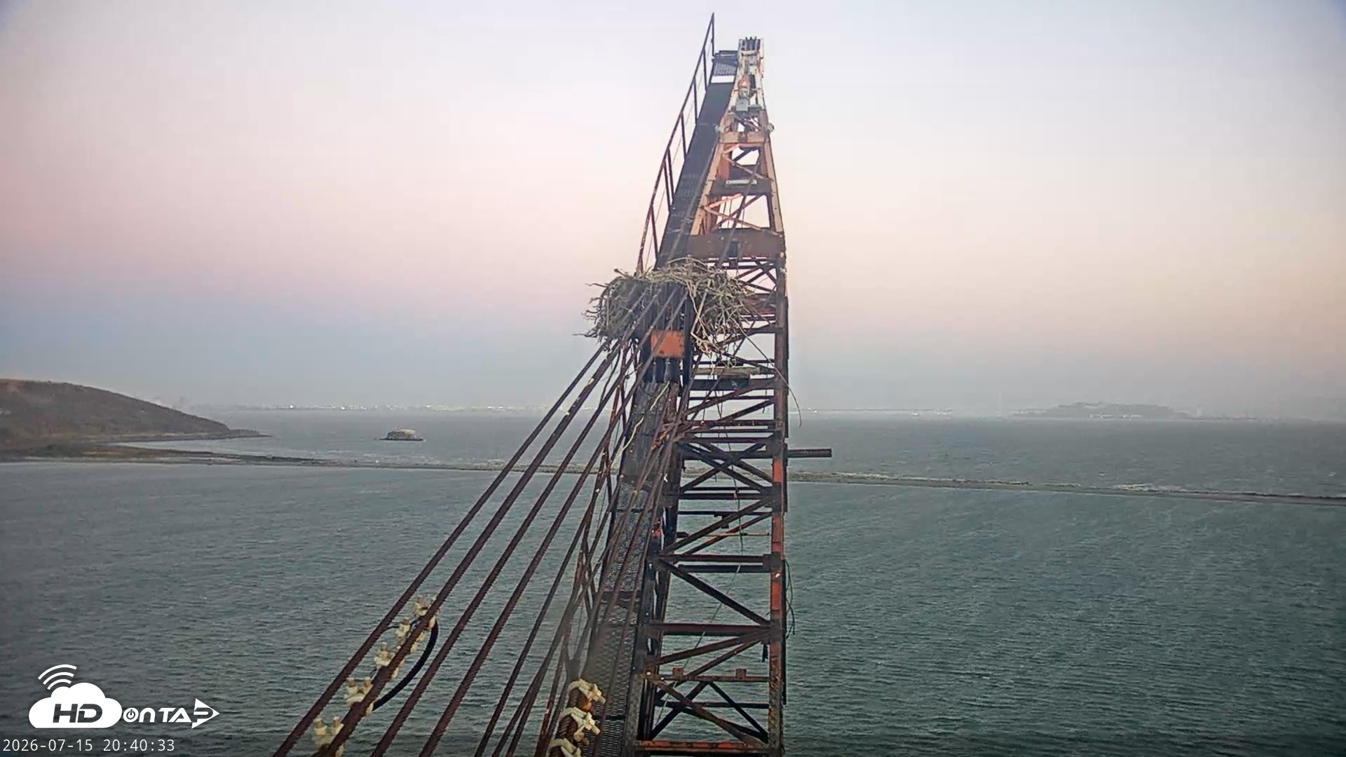 Snapshot of San Francisco Bay Osprey Nest Live Webcam taken Jul 15, 2026, 8:41pm PDT