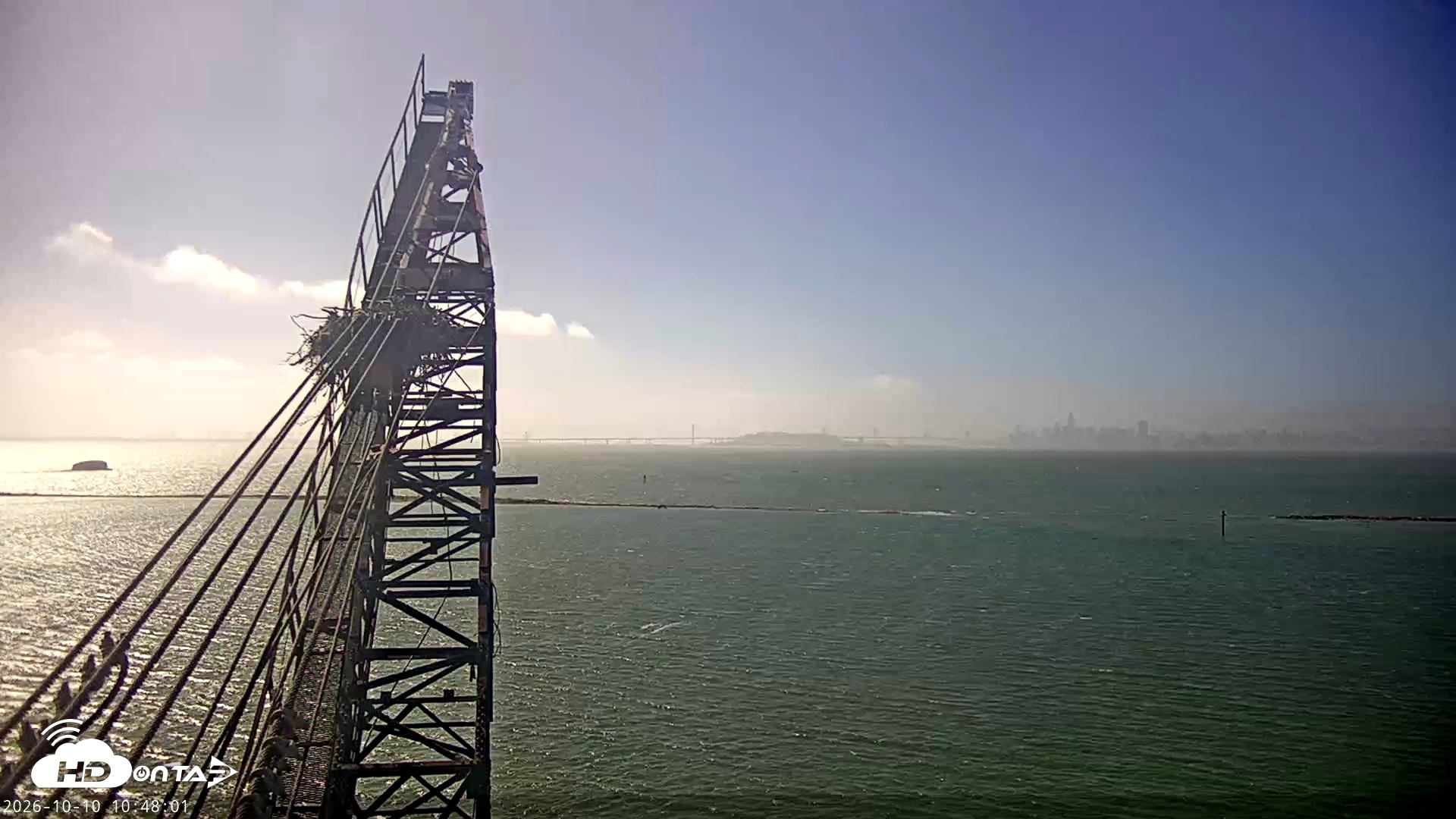 Snapshot of San Francisco Bay Osprey Nest Live Webcam taken Oct 10, 2026, 10:49am PDT