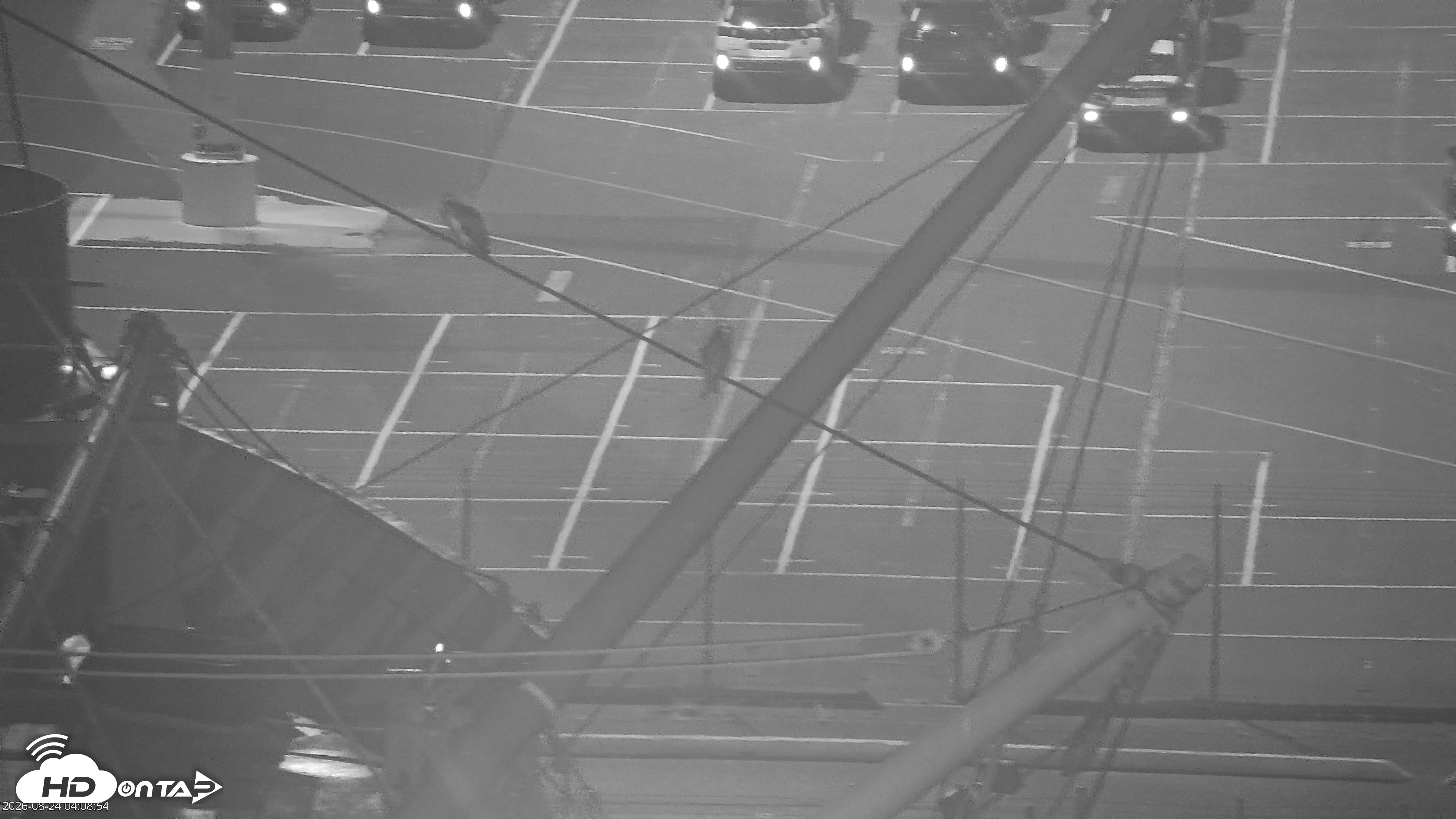 Snapshot of San Francisco Bay Osprey Nest Live Webcam taken Aug 24, 2026, 4:11am PDT