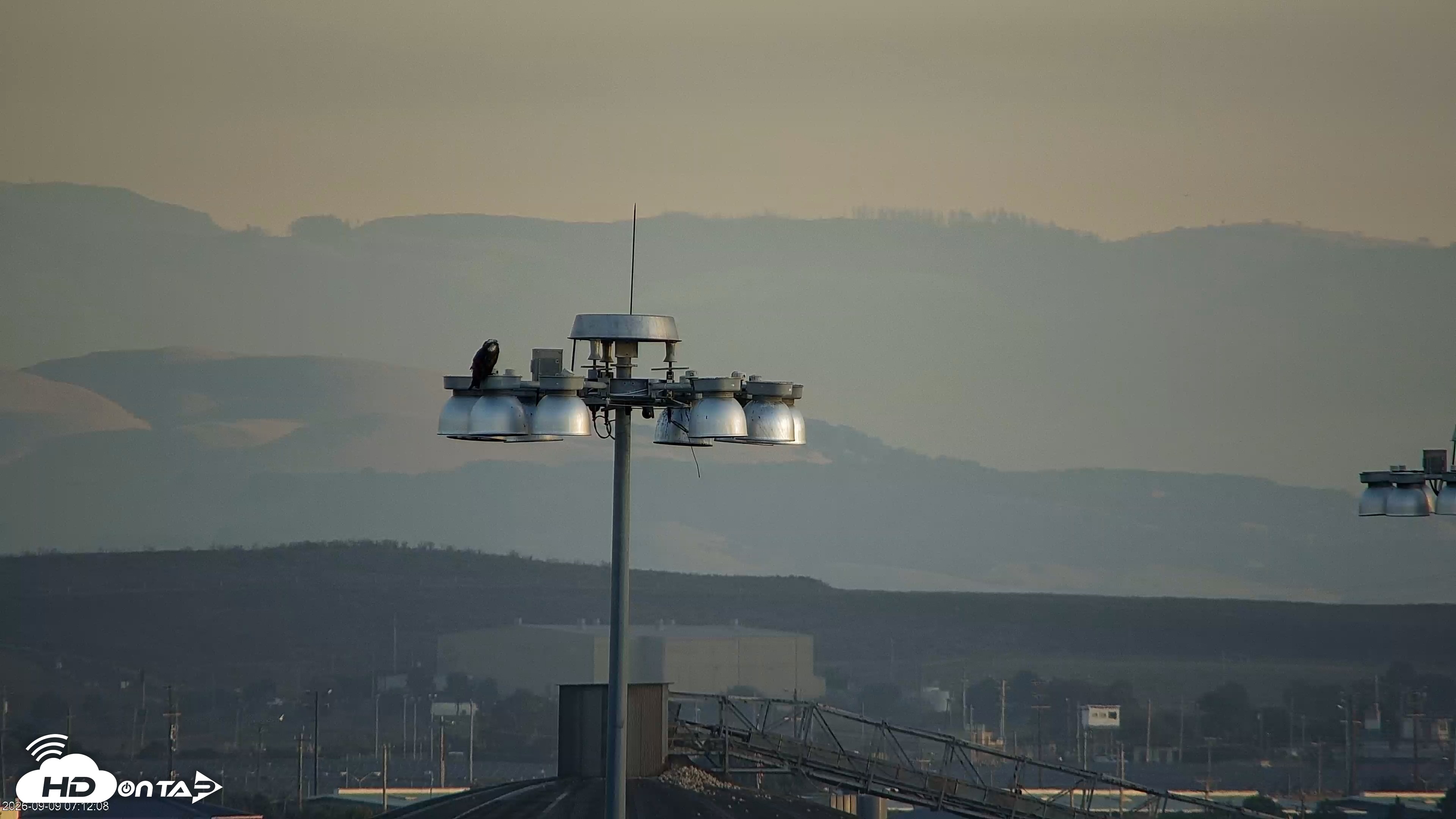 Snapshot of San Francisco Bay Osprey Nest Live Webcam taken Sep 9, 2026, 7:14am PDT