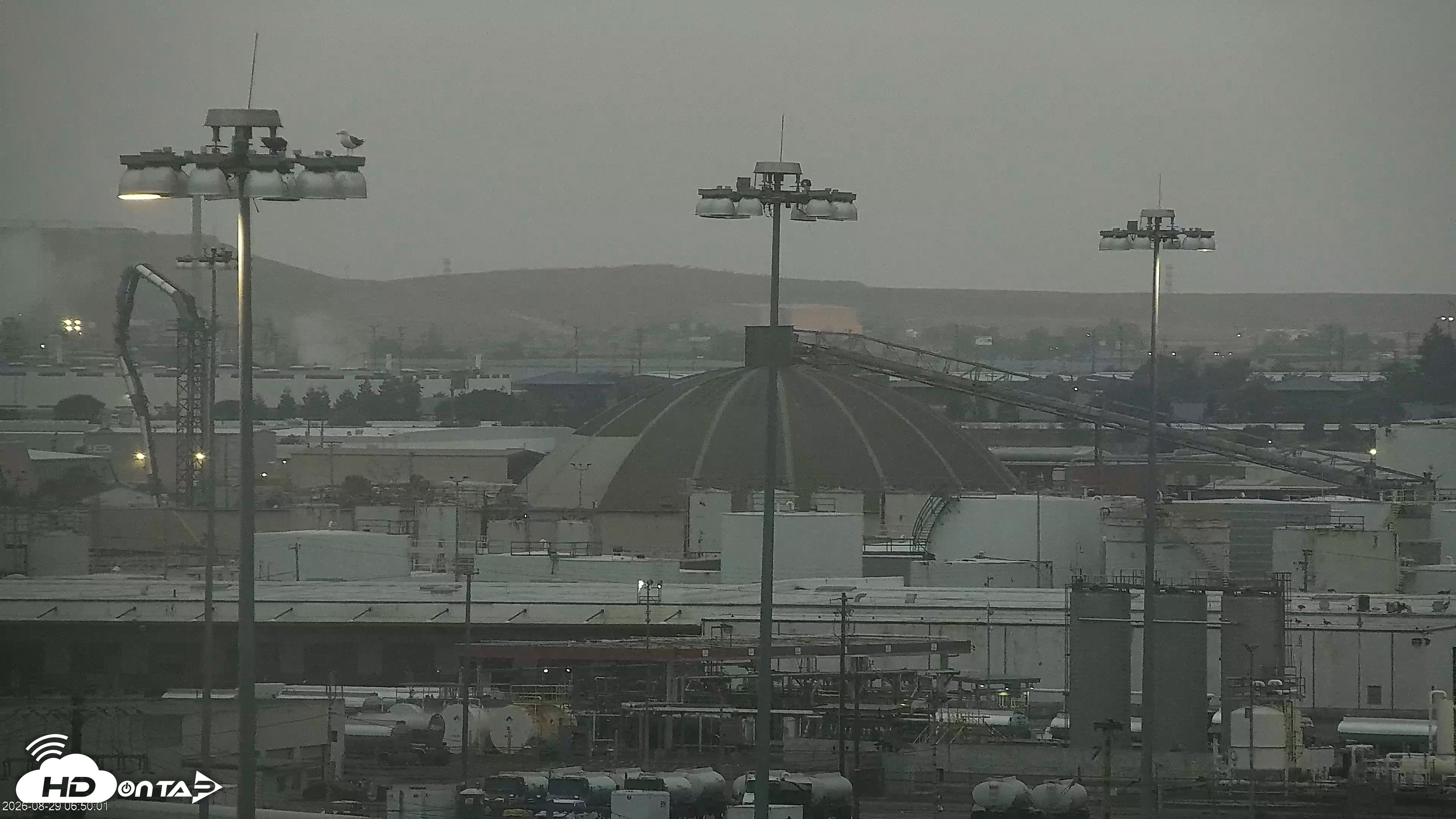 Snapshot of San Francisco Bay Osprey Nest Live Webcam taken Aug 29, 2026, 6:53am PDT