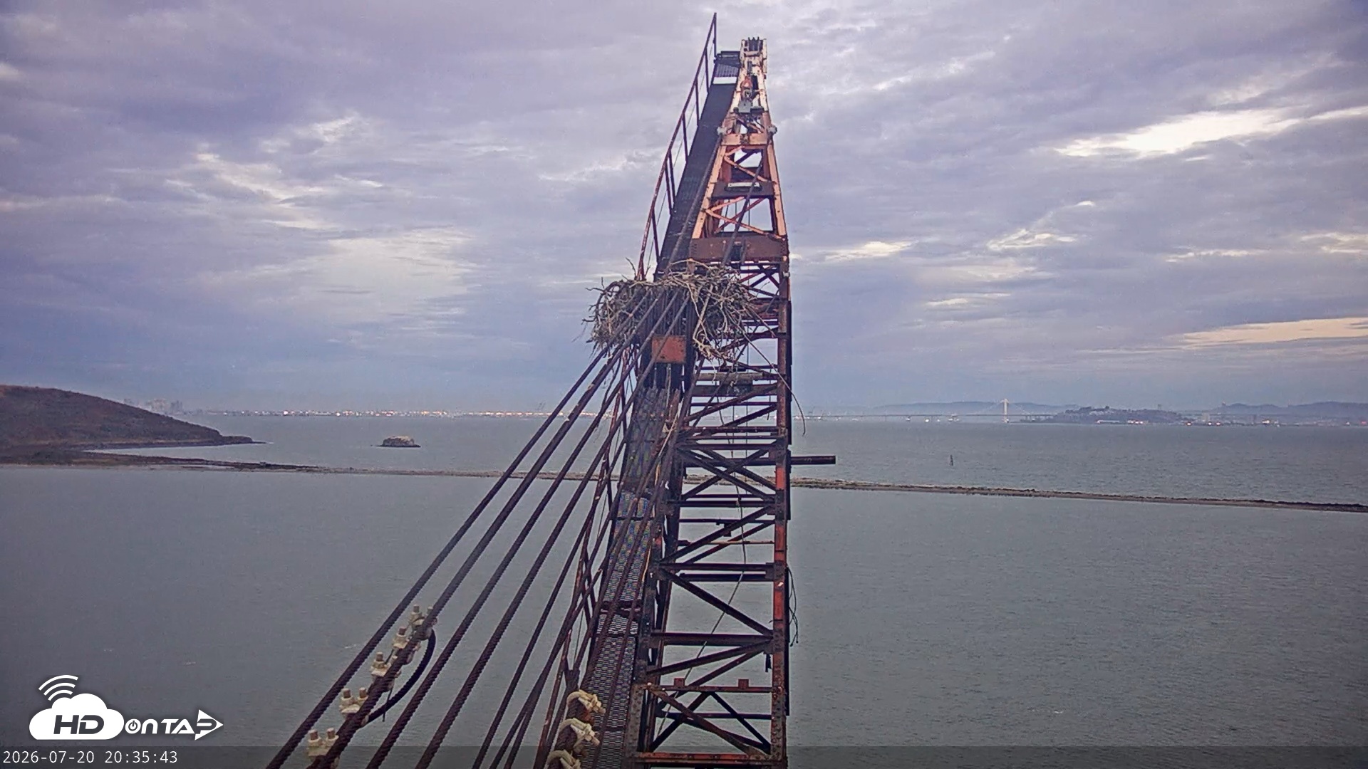 Snapshot of San Francisco Bay Osprey Nest Live Webcam taken Jul 20, 2026, 8:36pm PDT