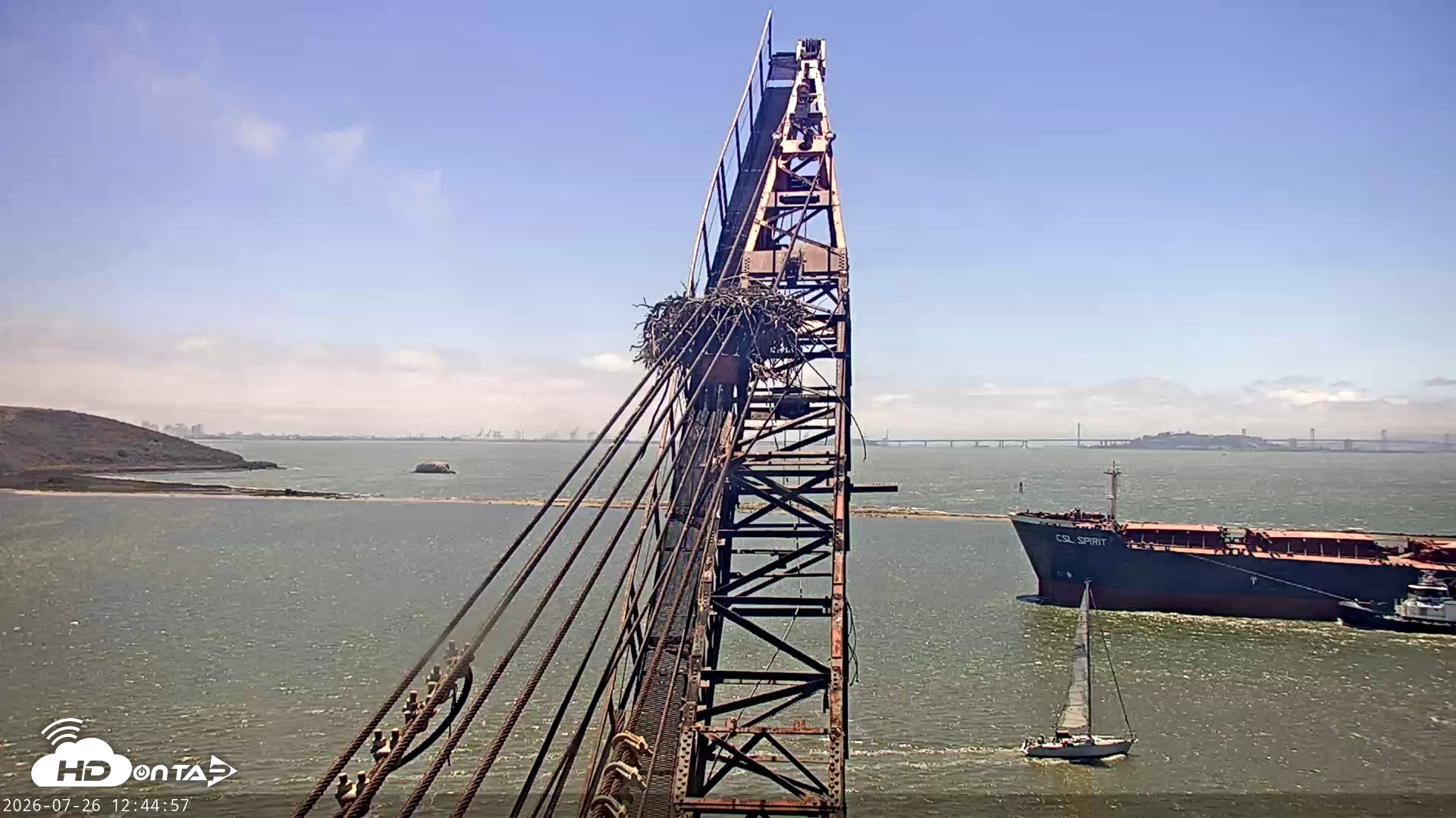 Snapshot of San Francisco Bay Osprey Nest Live Webcam taken Jul 26, 2026, 12:46pm PDT