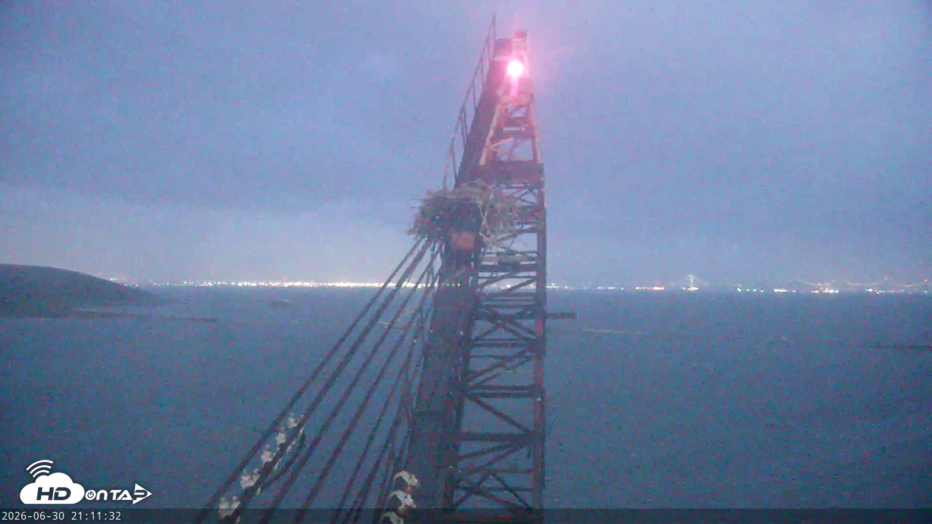 Snapshot of San Francisco Bay Osprey Nest Live Webcam taken Jun 30, 2026, 9:13pm PDT