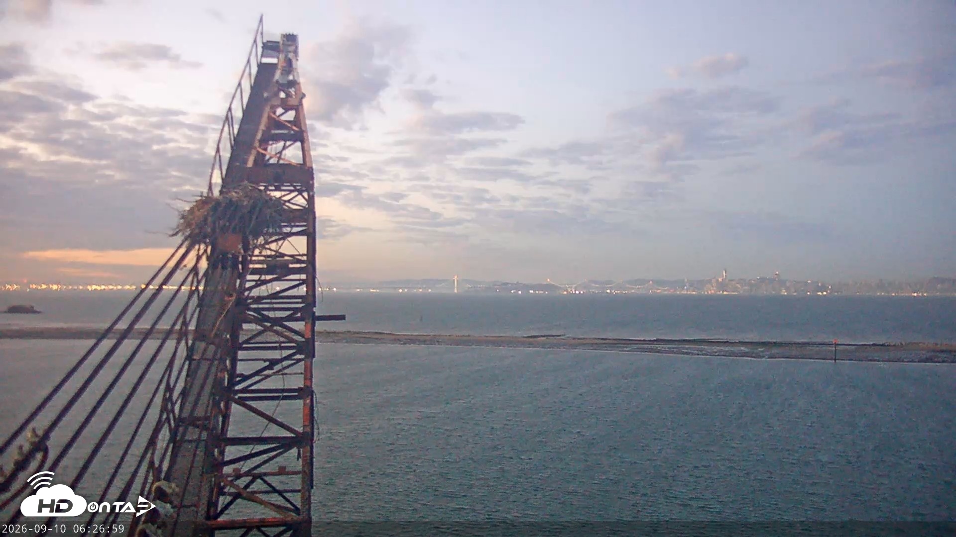 Snapshot of San Francisco Bay Osprey Nest Live Webcam taken Sep 10, 2026, 6:28am PDT