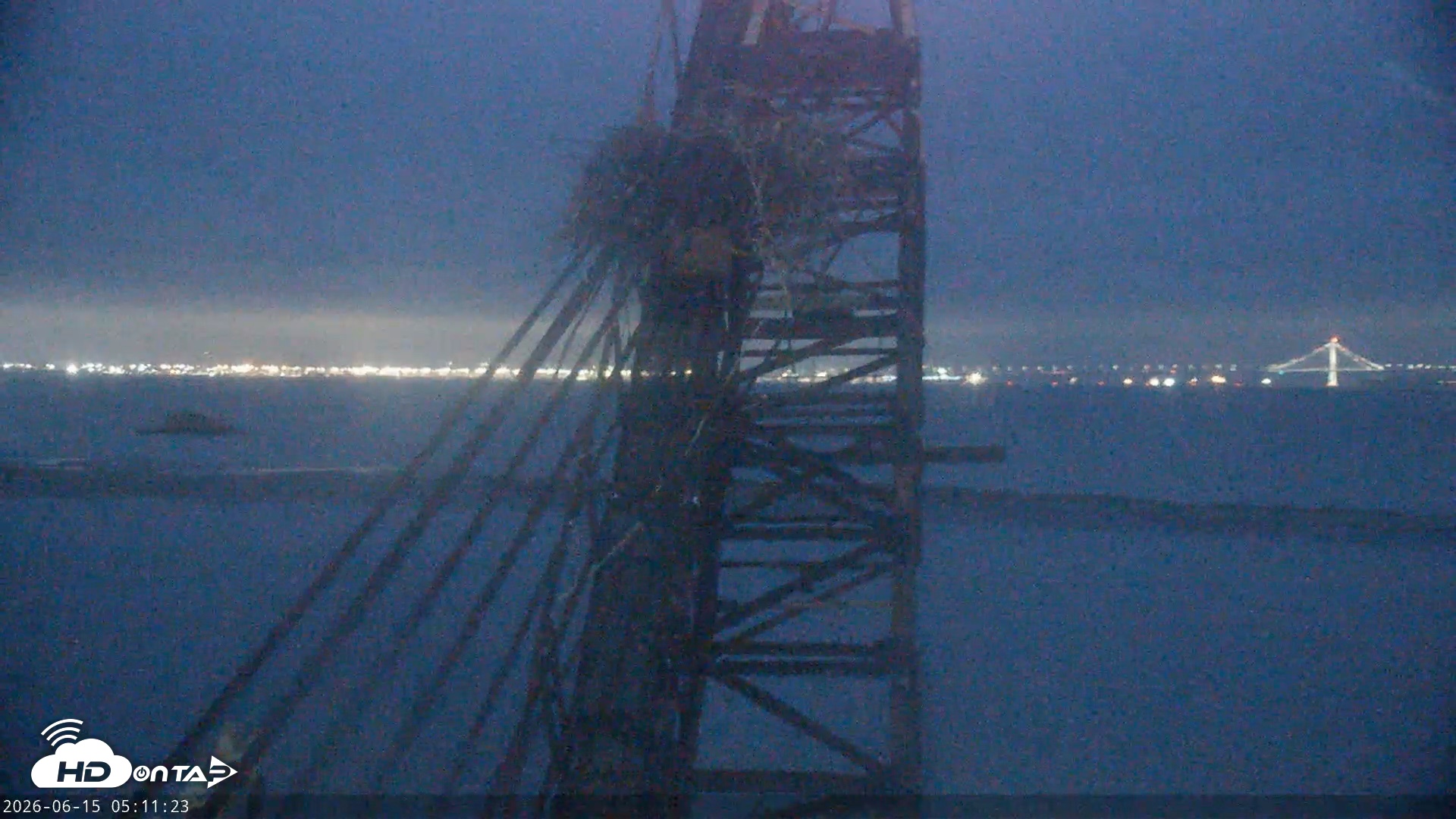 Snapshot of San Francisco Bay Osprey Nest Live Webcam taken Jun 15, 2026, 5:13am PDT