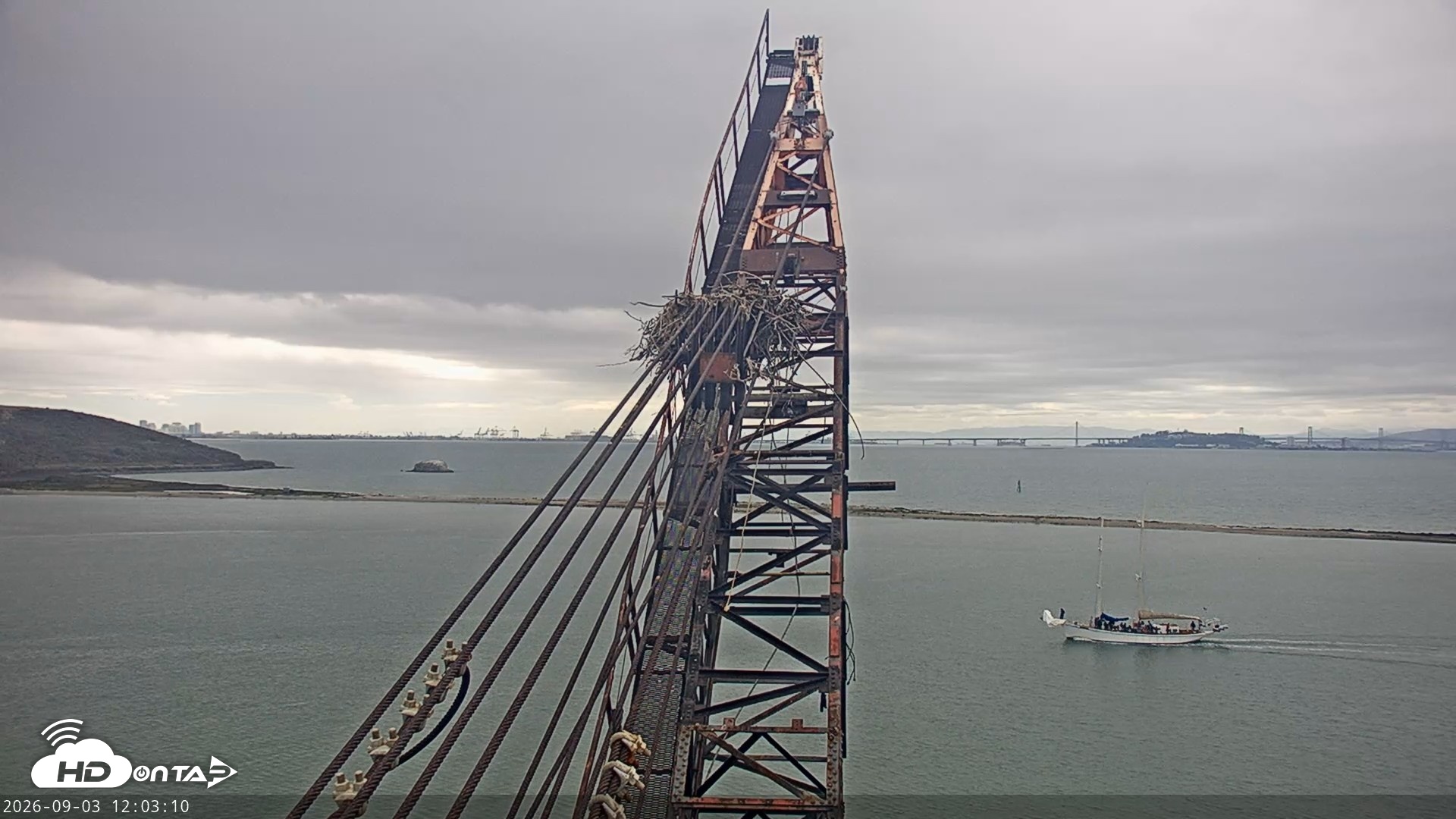 Snapshot of San Francisco Bay Osprey Nest Live Webcam taken Sep 3, 2026, 12:03pm PDT