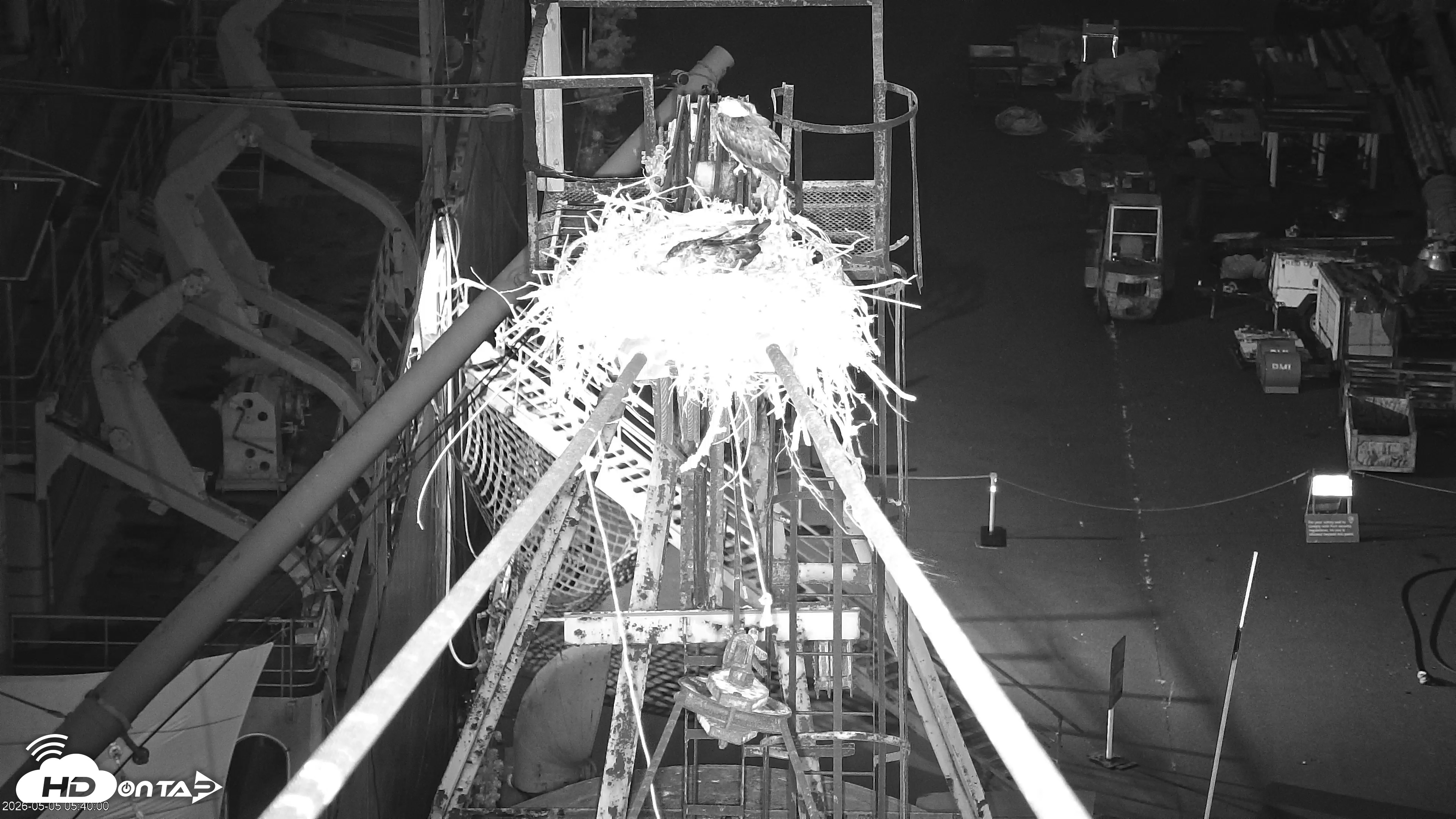 Snapshot of San Francisco Bay Osprey Nest Live Webcam taken May 5, 2026, 5:40am PDT